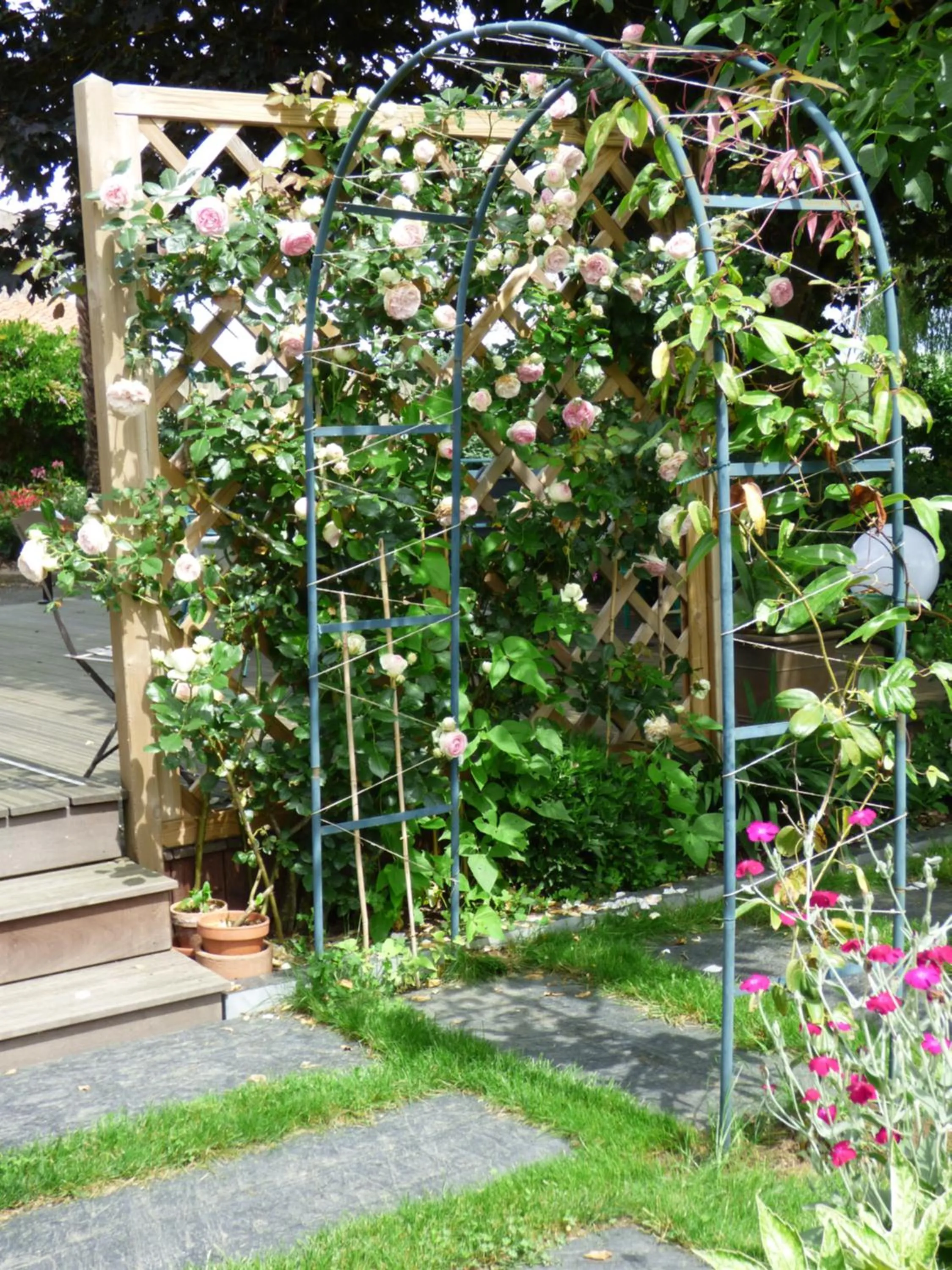 Garden view in Chambres d'Hôtes Vignes et Loire
