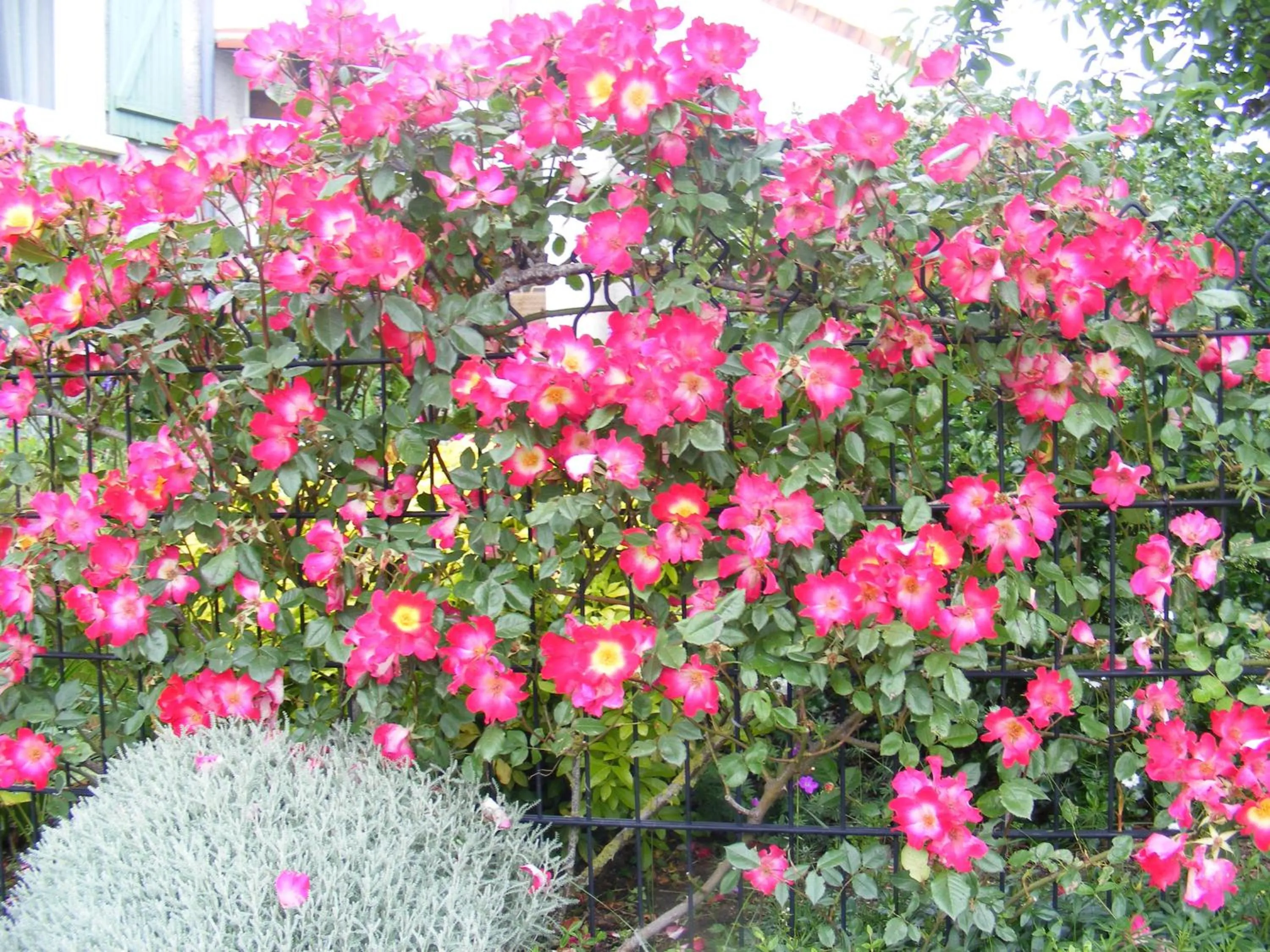 Spring in Chambres d'Hôtes Vignes et Loire