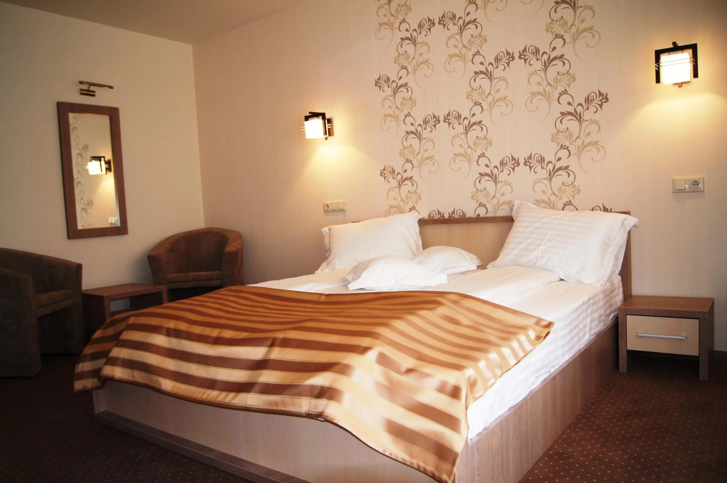 Double Room in Pensiunea JOJO2