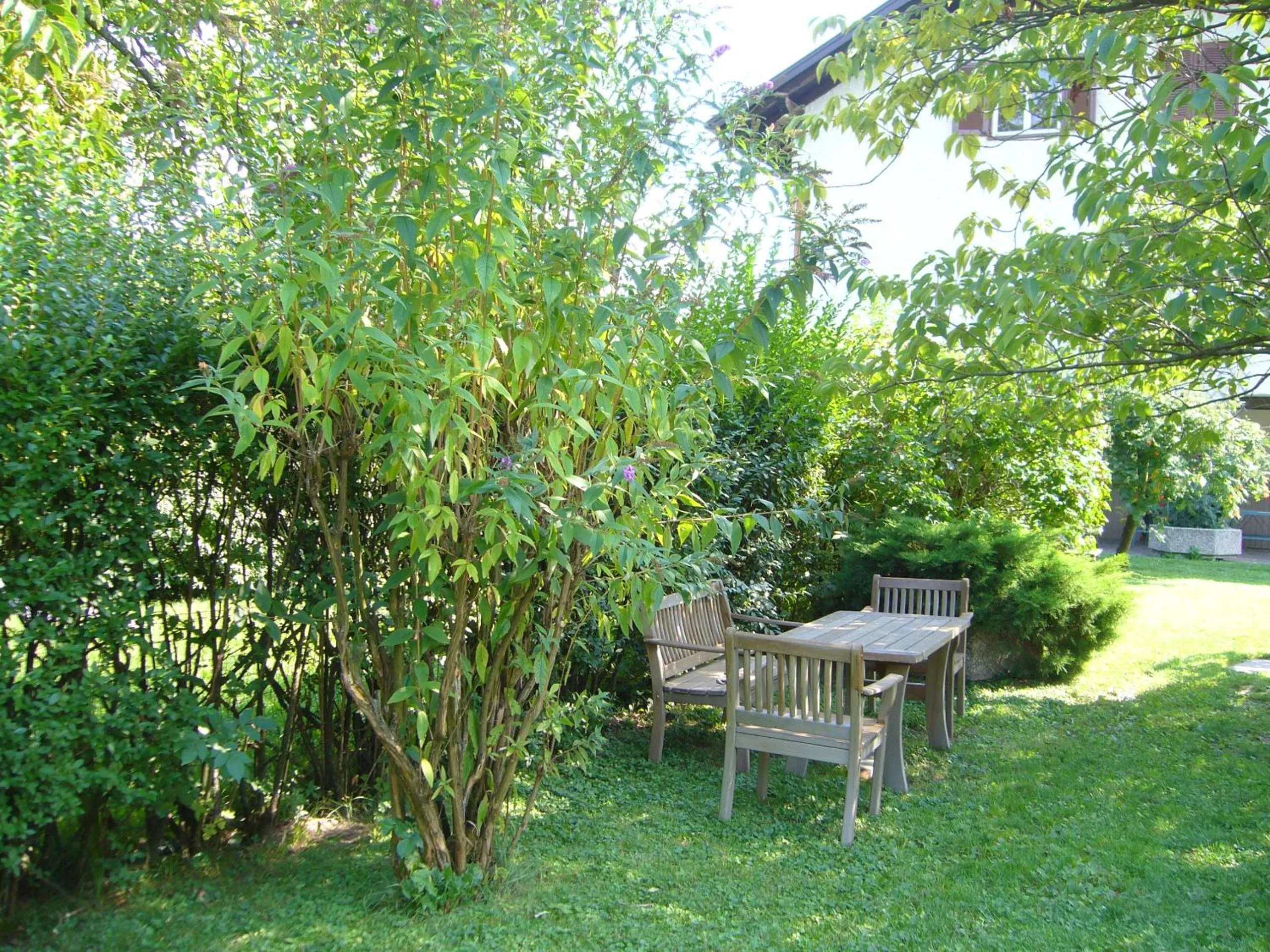 Natural landscape in Hotel Gasthof WASTL