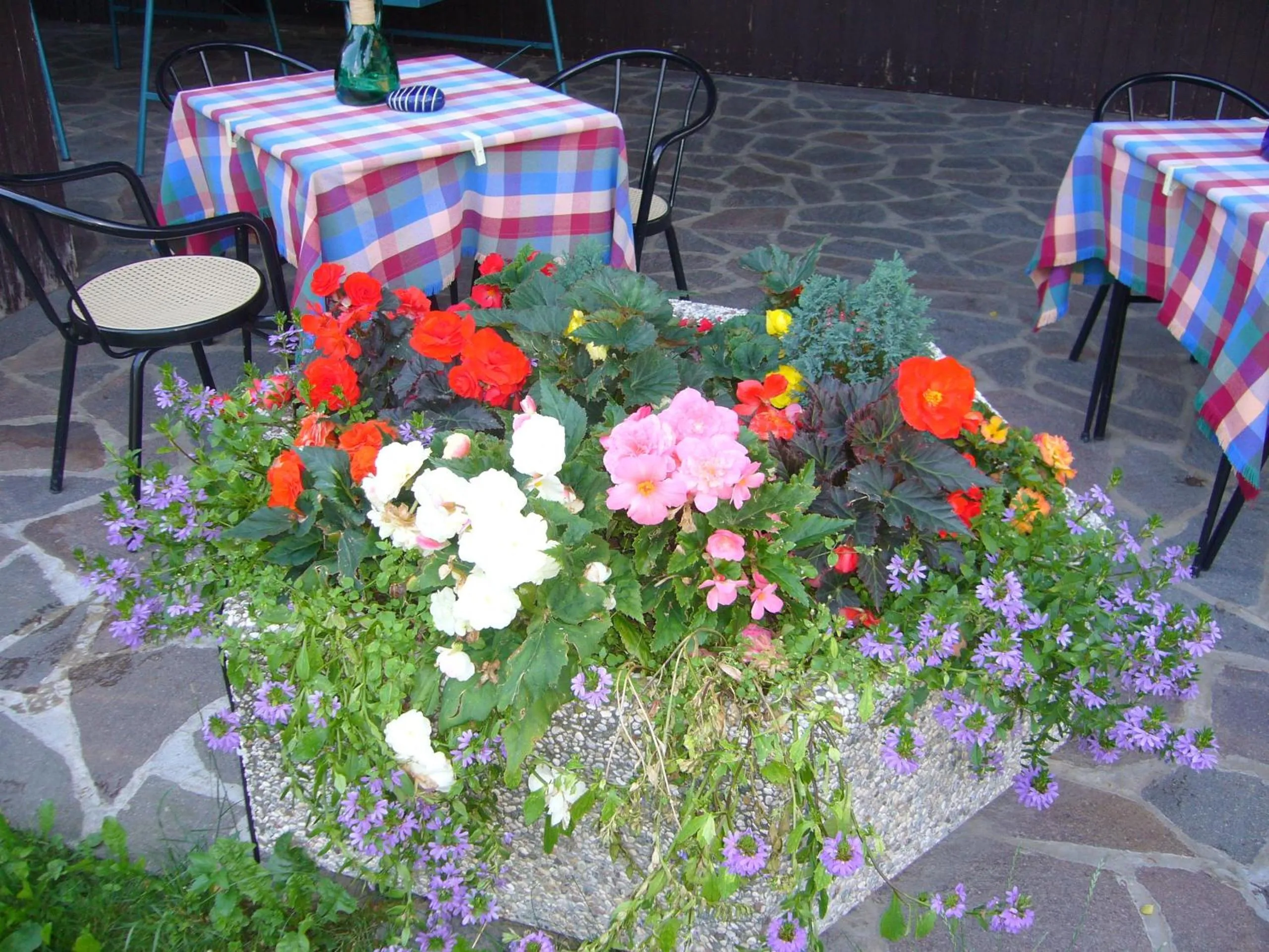 Garden in Hotel Gasthof WASTL