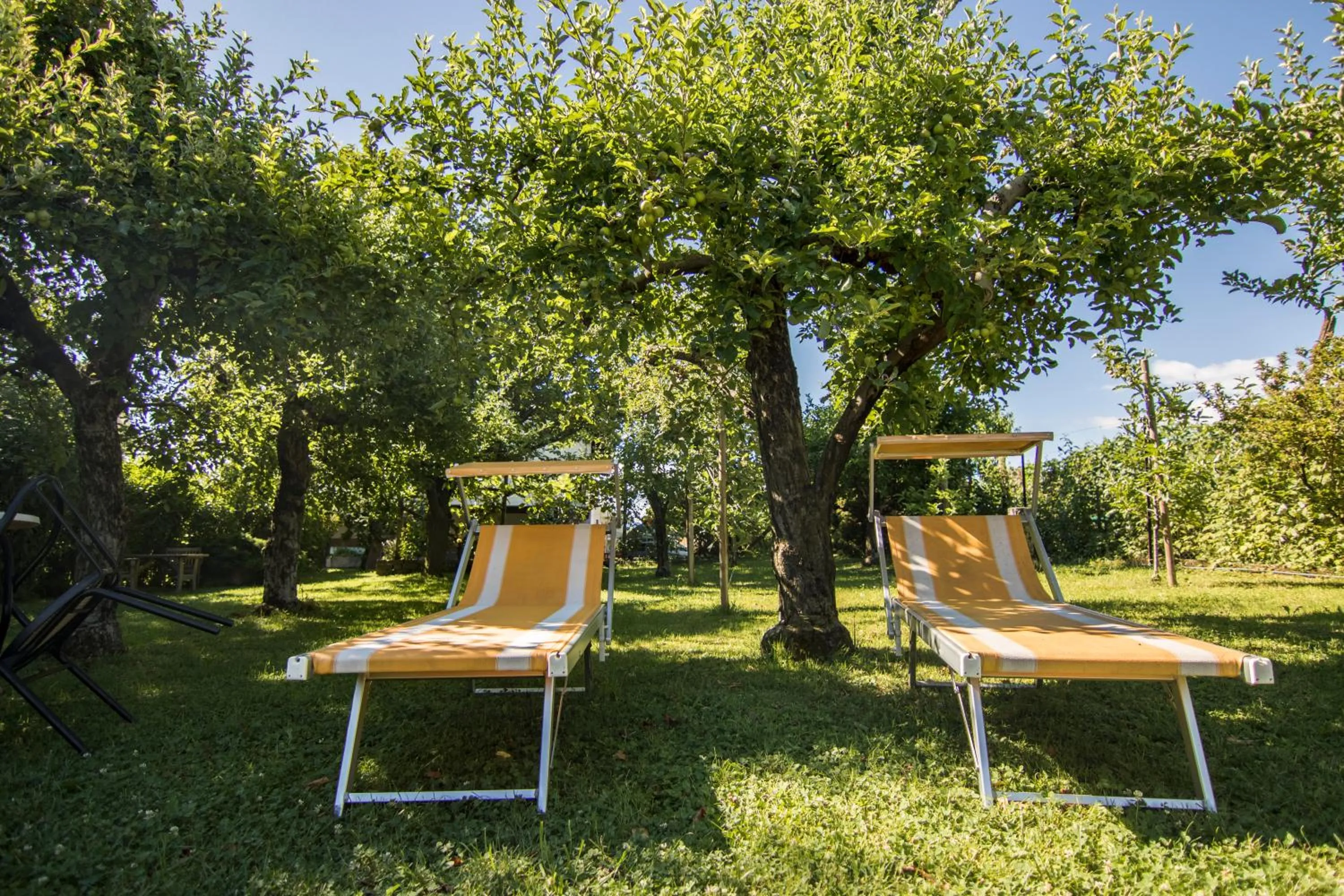 Garden in Hotel Gasthof WASTL