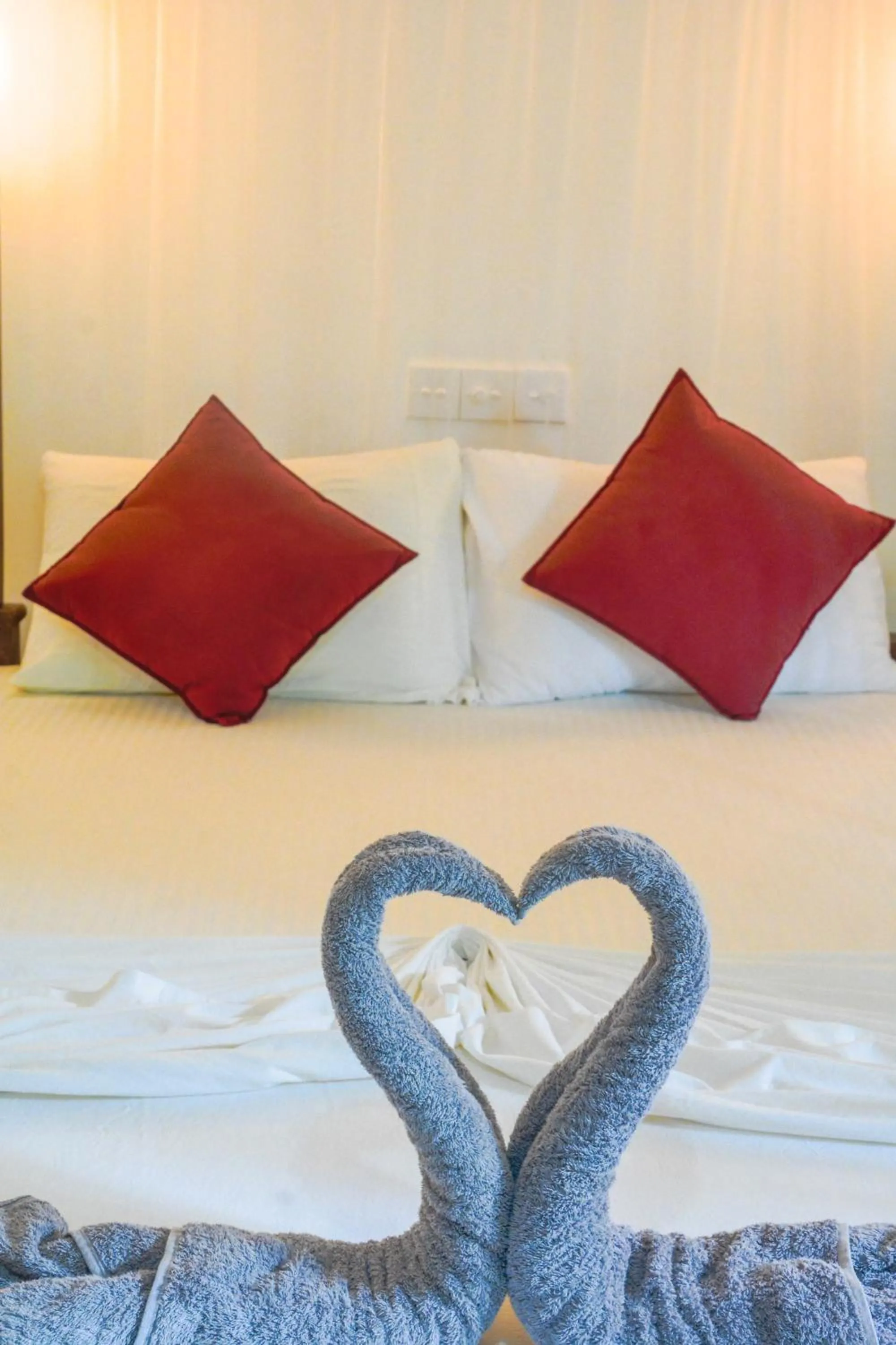 Double Room with Garden View in Palm Garden Guest House