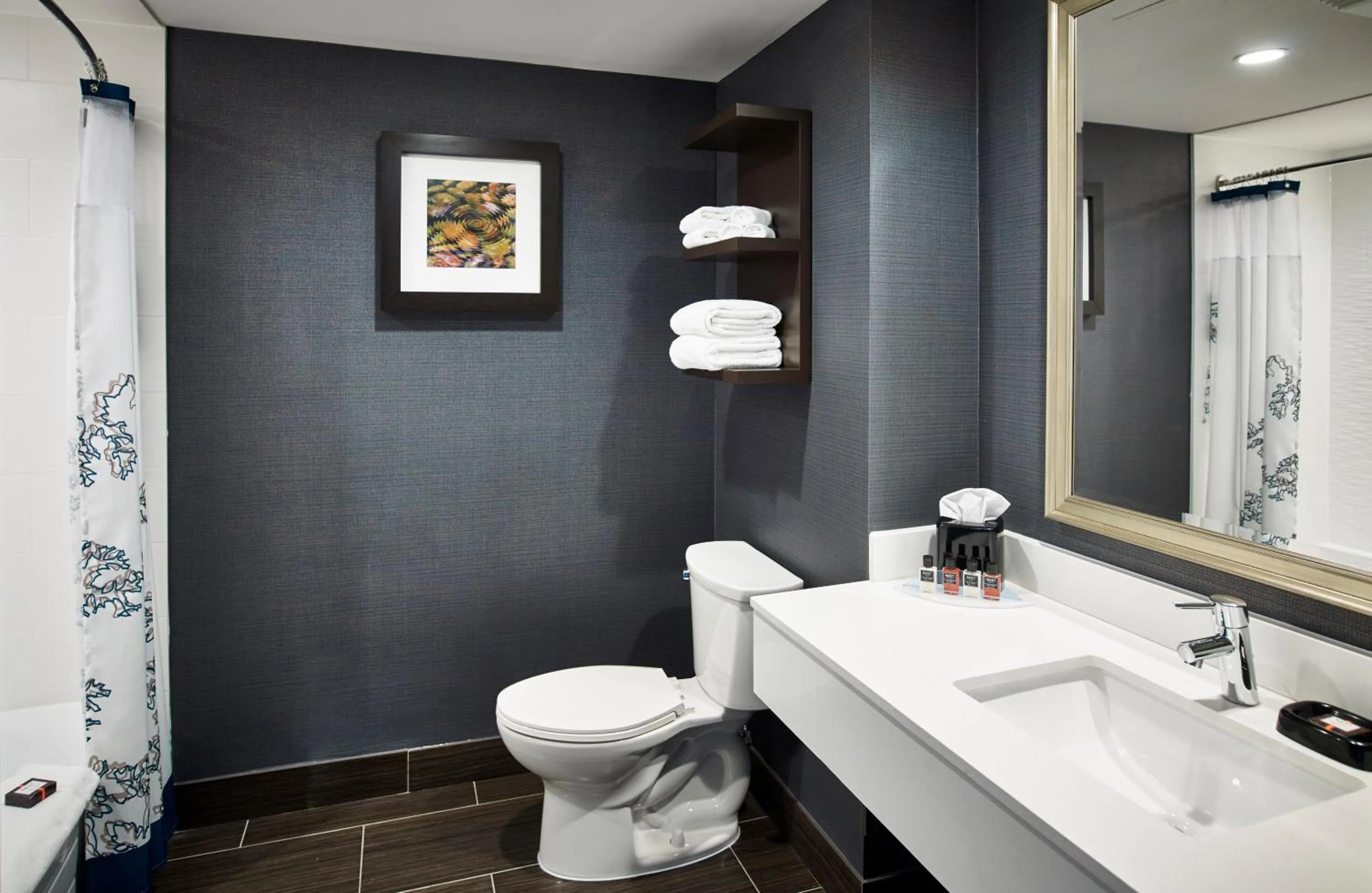 Toilet in Waterfront Hotel Downtown Burlington