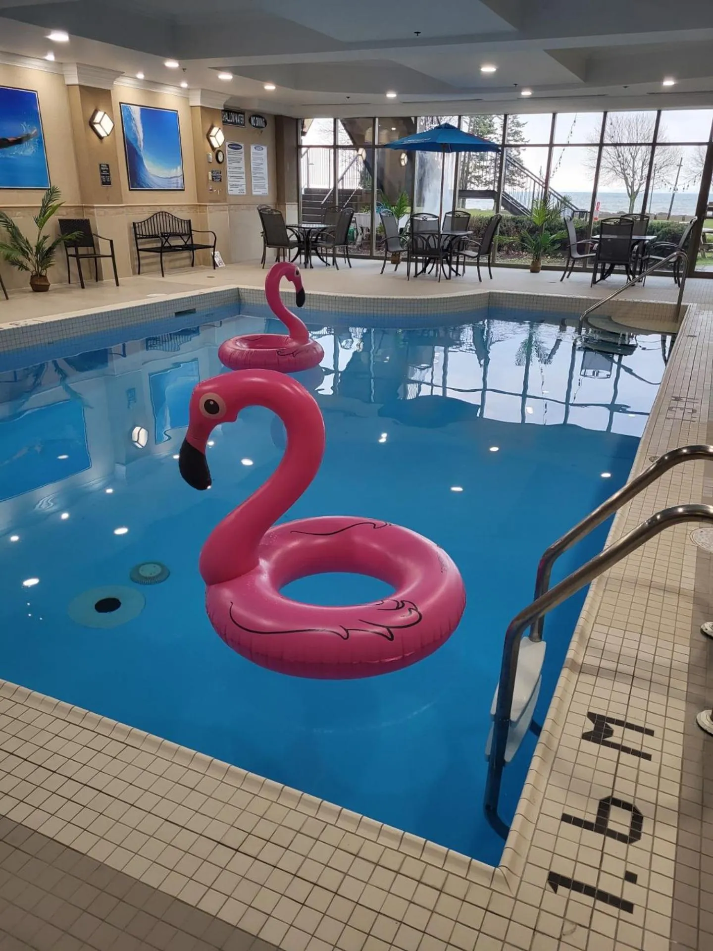 Swimming pool in Waterfront Hotel Downtown Burlington