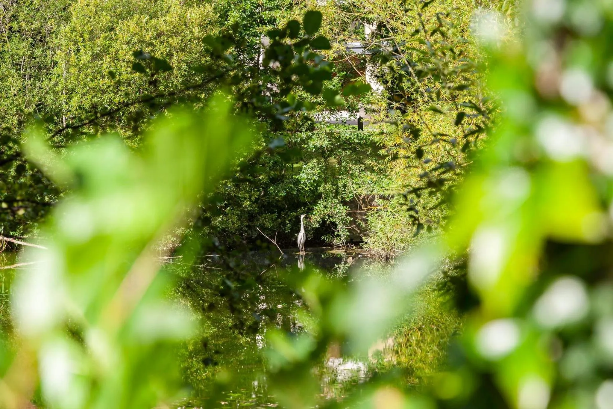 Other in Crowne Plaza Dublin Airport by IHG