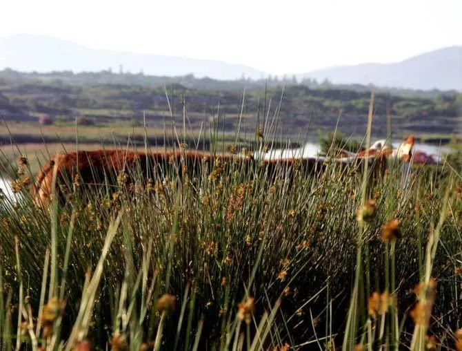 Area and facilities in Sneem Hotel