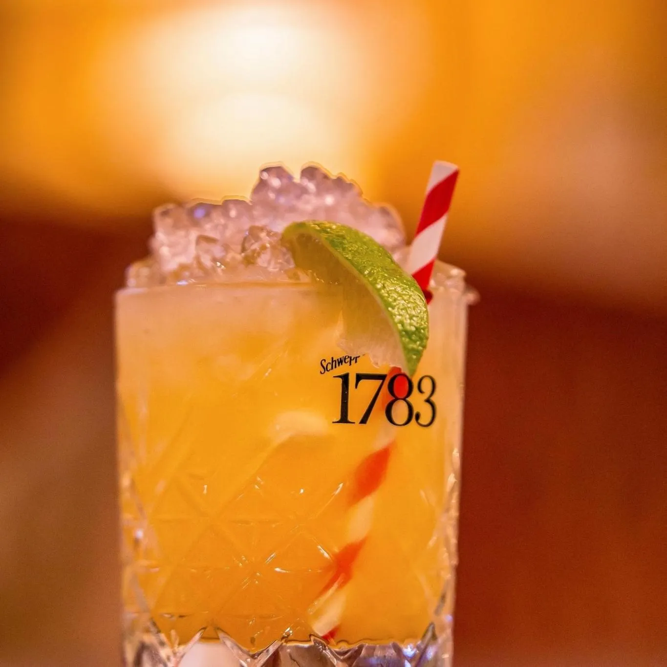 Drinks in The Wyatt Hotel