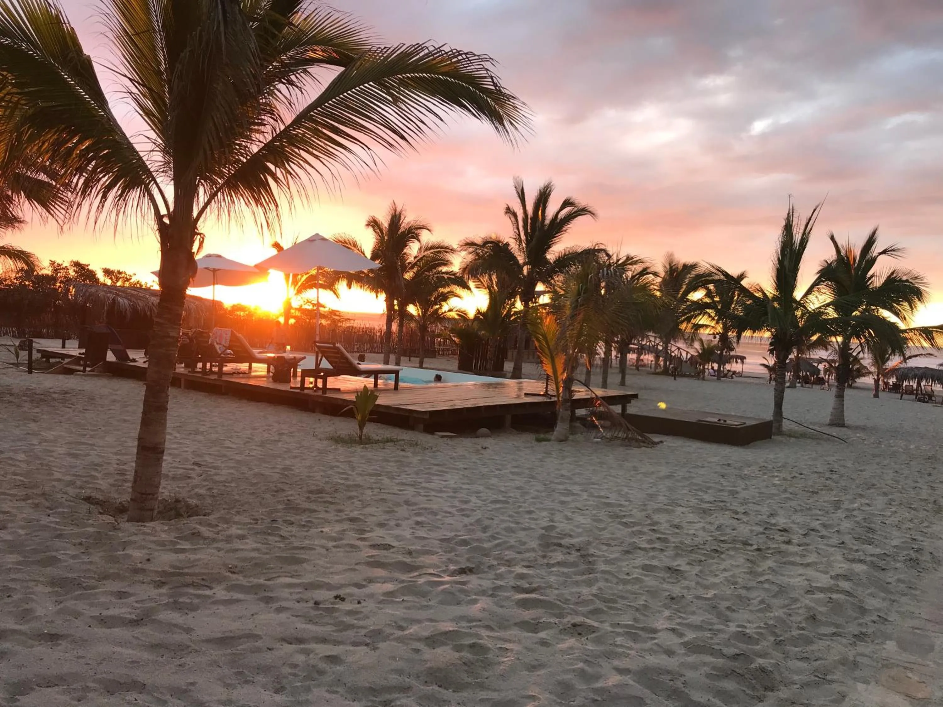 Natural landscape in Bamboo Lodge