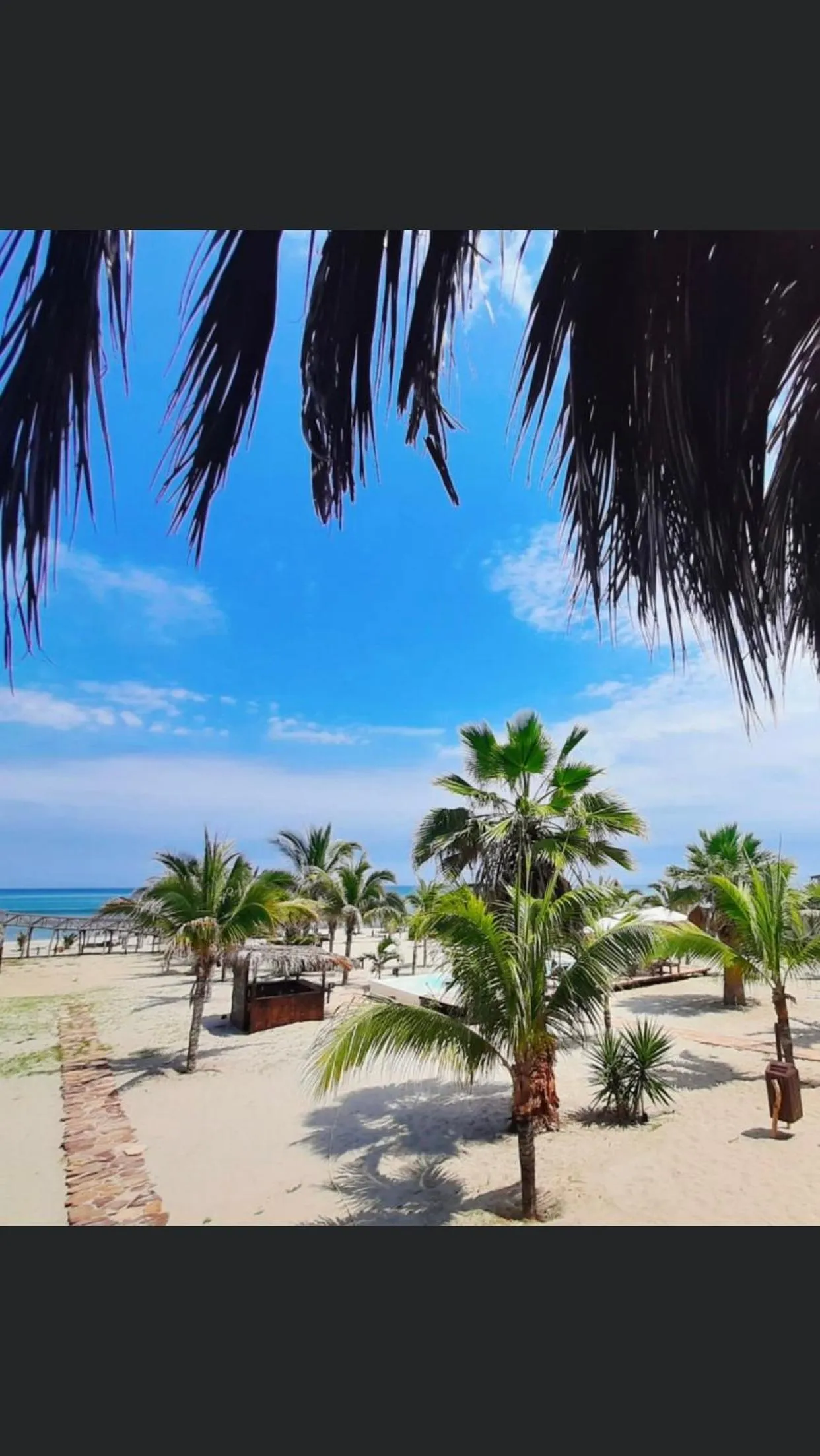Sea view in Bamboo Lodge