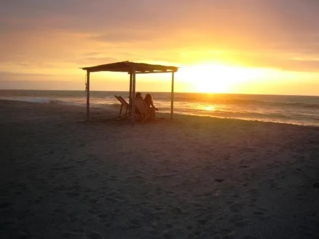 Natural landscape in Bamboo Lodge
