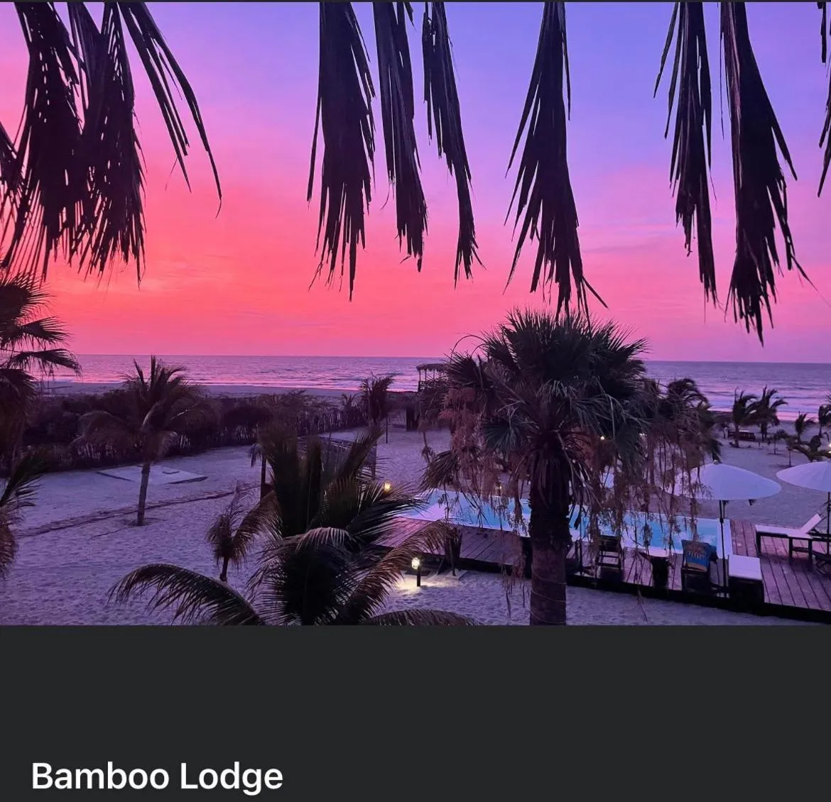Bamboo Lodge