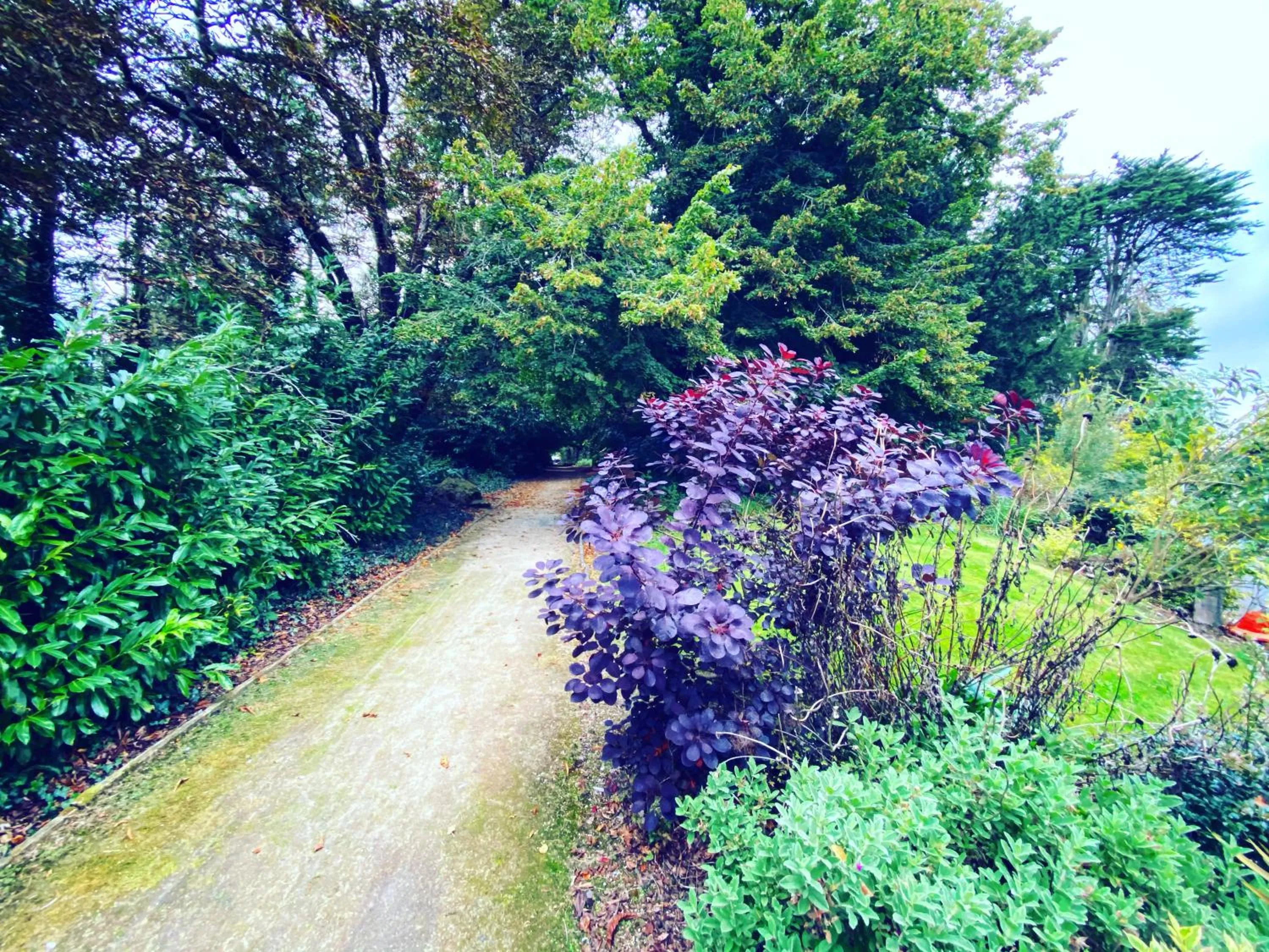 Garden in The Lucan Spa Hotel