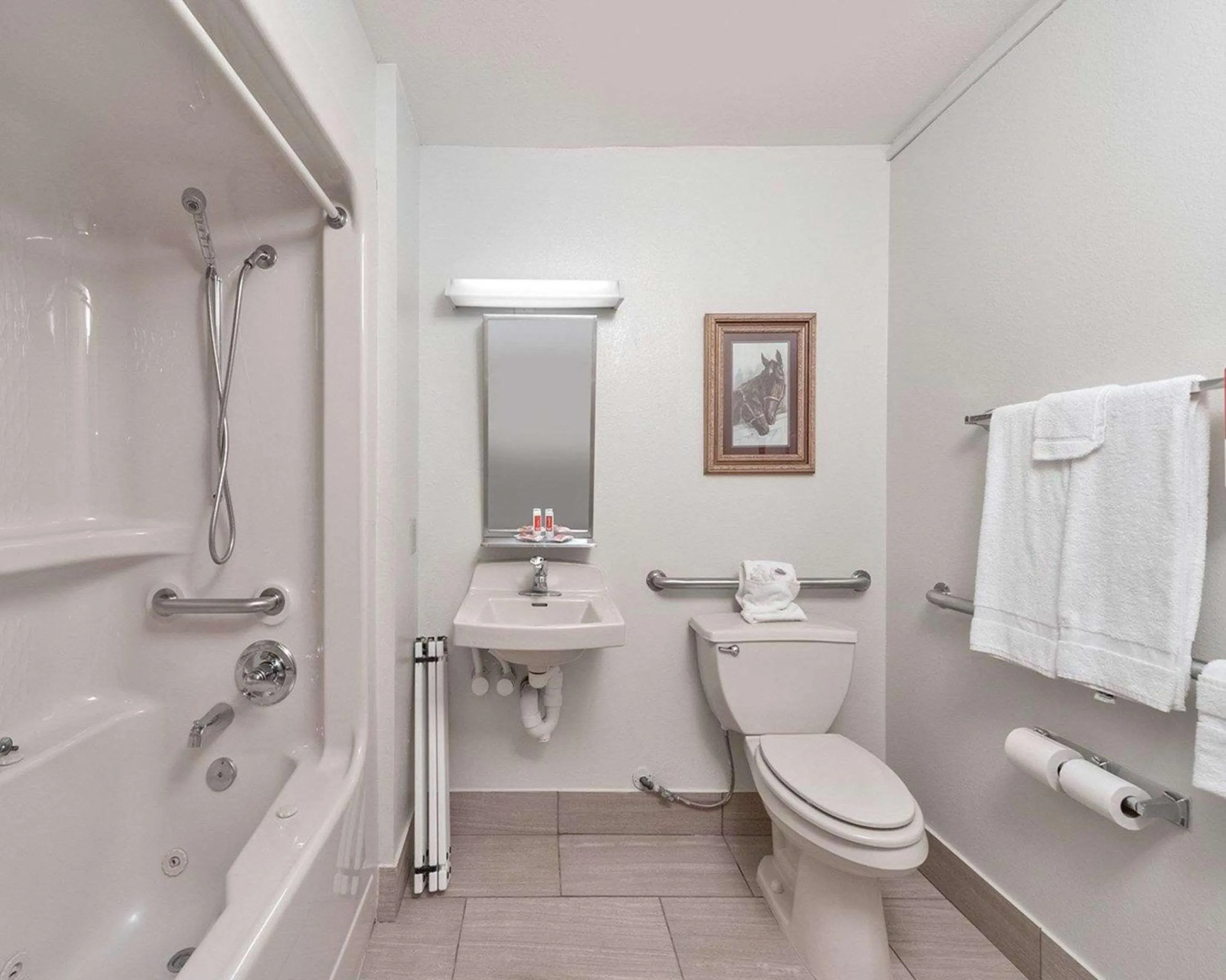 Bathroom in Econo Lodge Inn & Suites Shelbyville