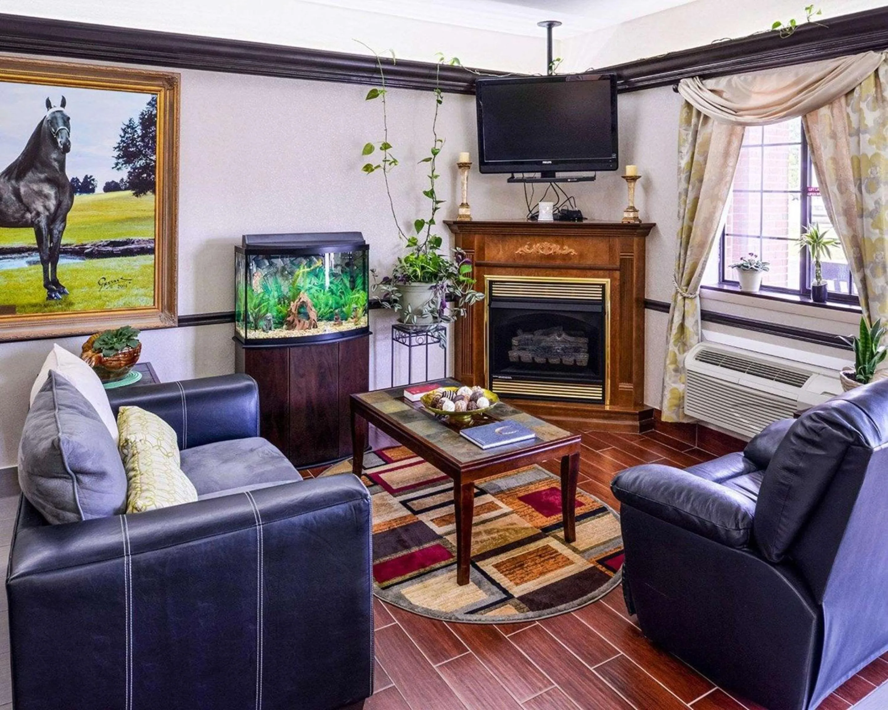 TV and multimedia in Econo Lodge Inn & Suites Shelbyville