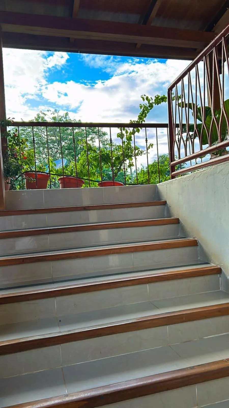 Balcony/Terrace in Hotel Javy