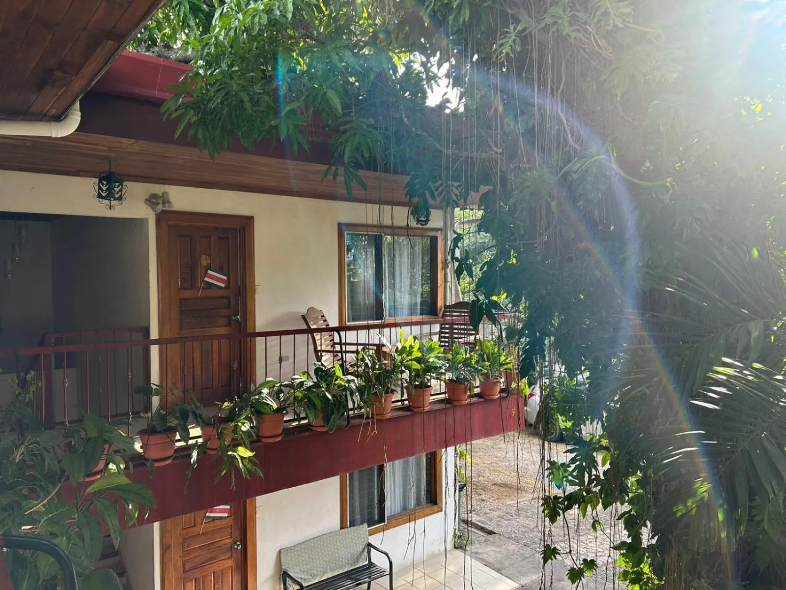 Garden view in Hotel Javy