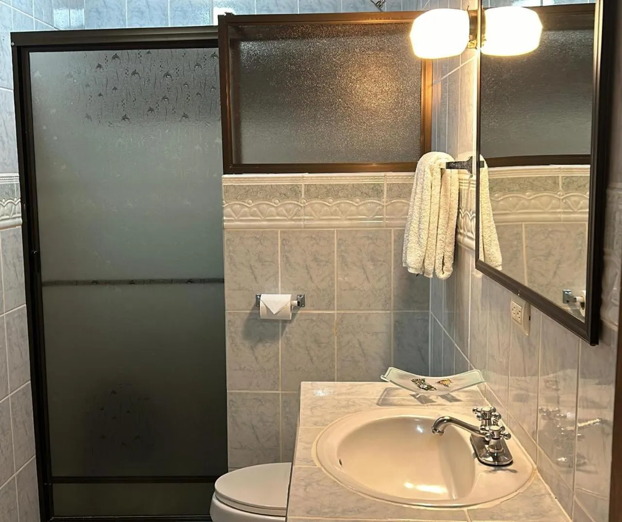 Shower in Hotel Javy