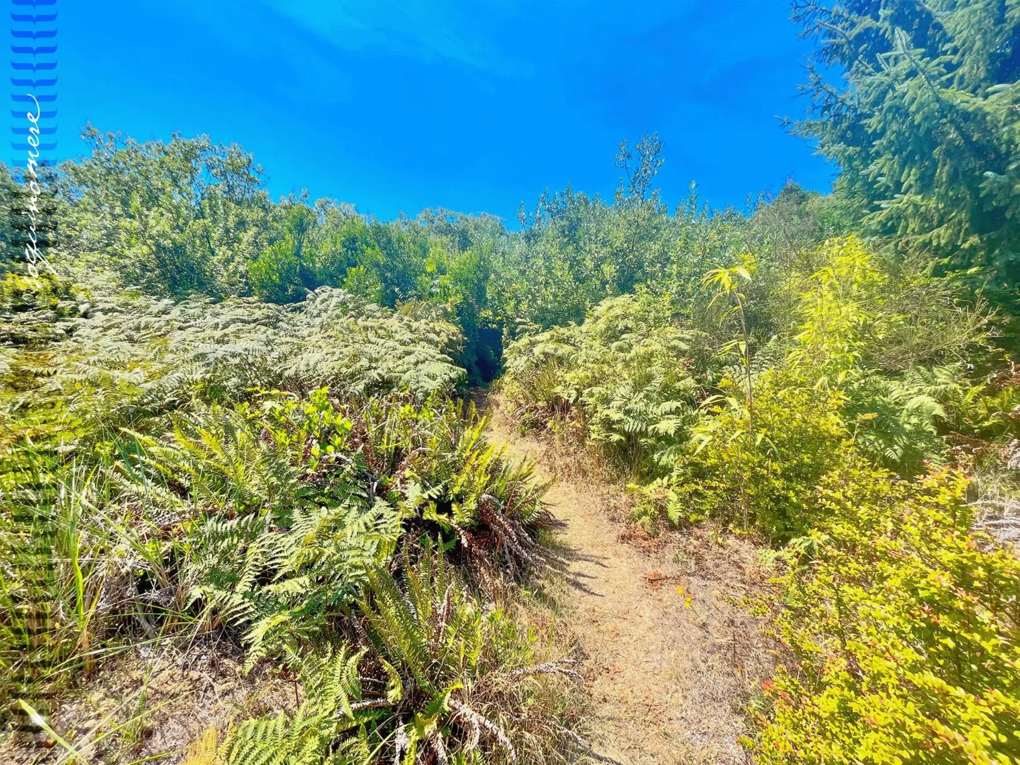 Tide Pool Cabin, a Soquinomere Private Hotel on the Dunes, Downtown Ocean Shores