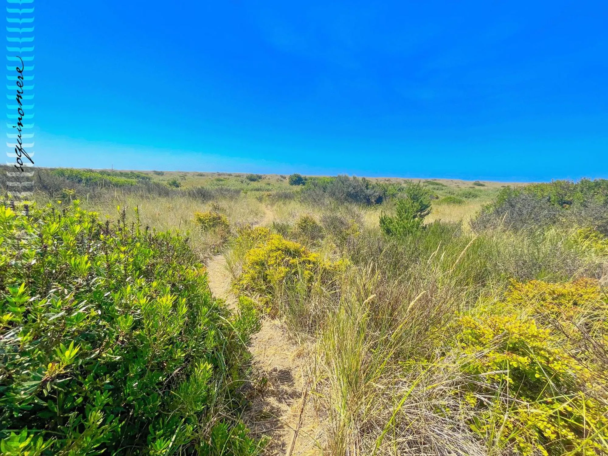 Tide Pool Cabin, a Soquinomere Private Hotel on the Dunes, Downtown Ocean Shores