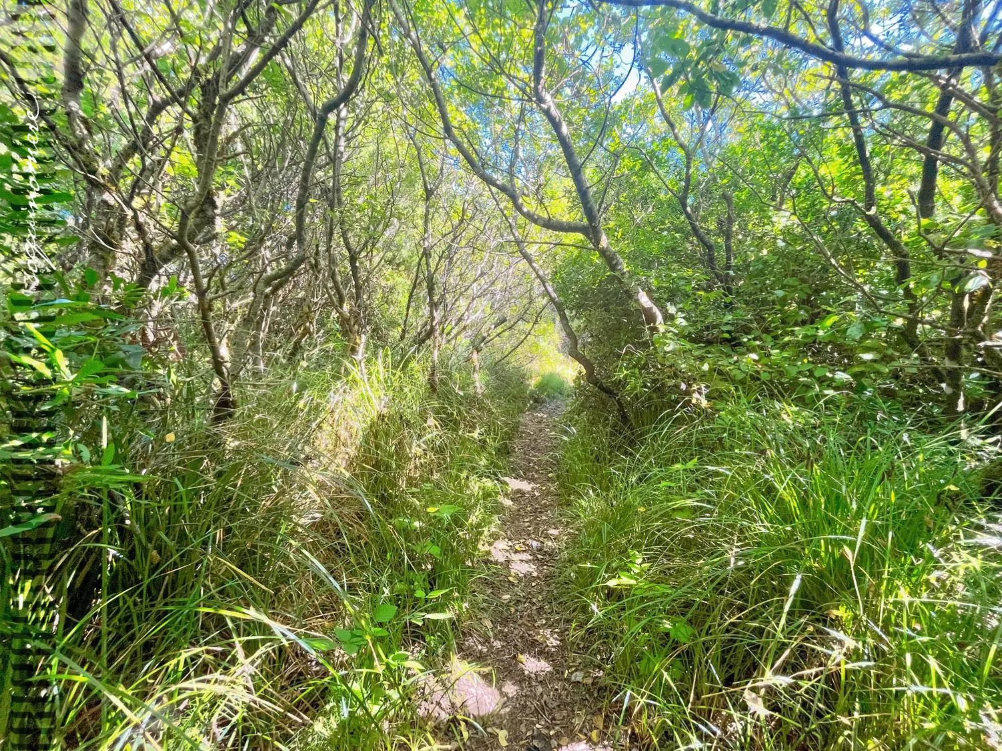 Tide Pool Cabin, a Soquinomere Private Hotel on the Dunes, Downtown Ocean Shores