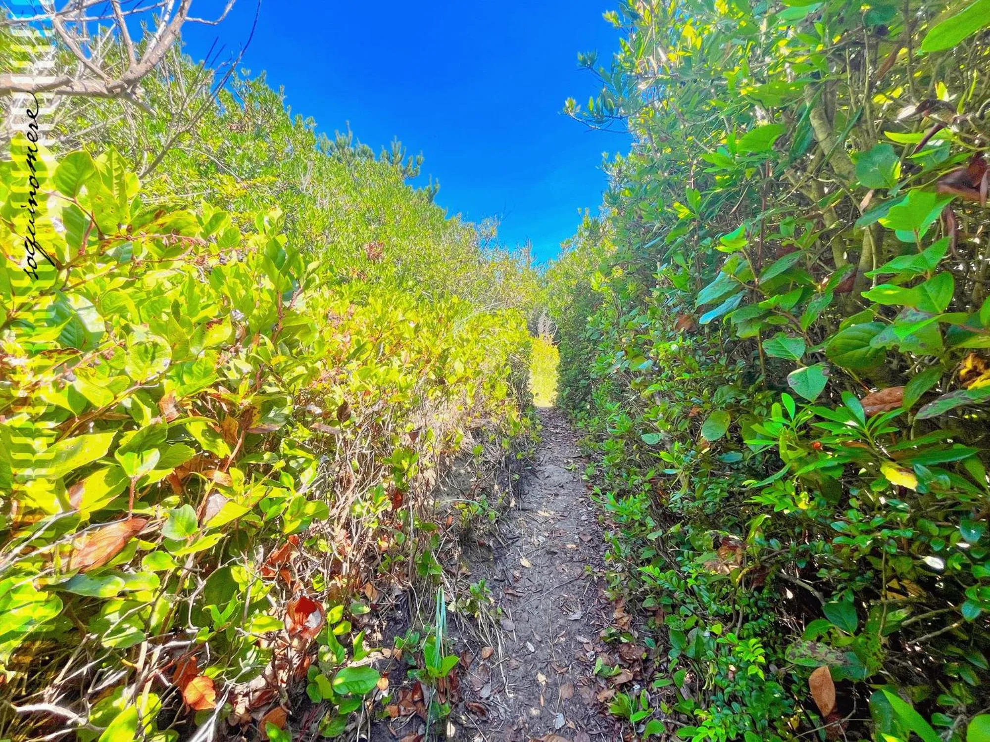 Tide Pool Cabin, a Soquinomere Private Hotel on the Dunes, Downtown Ocean Shores