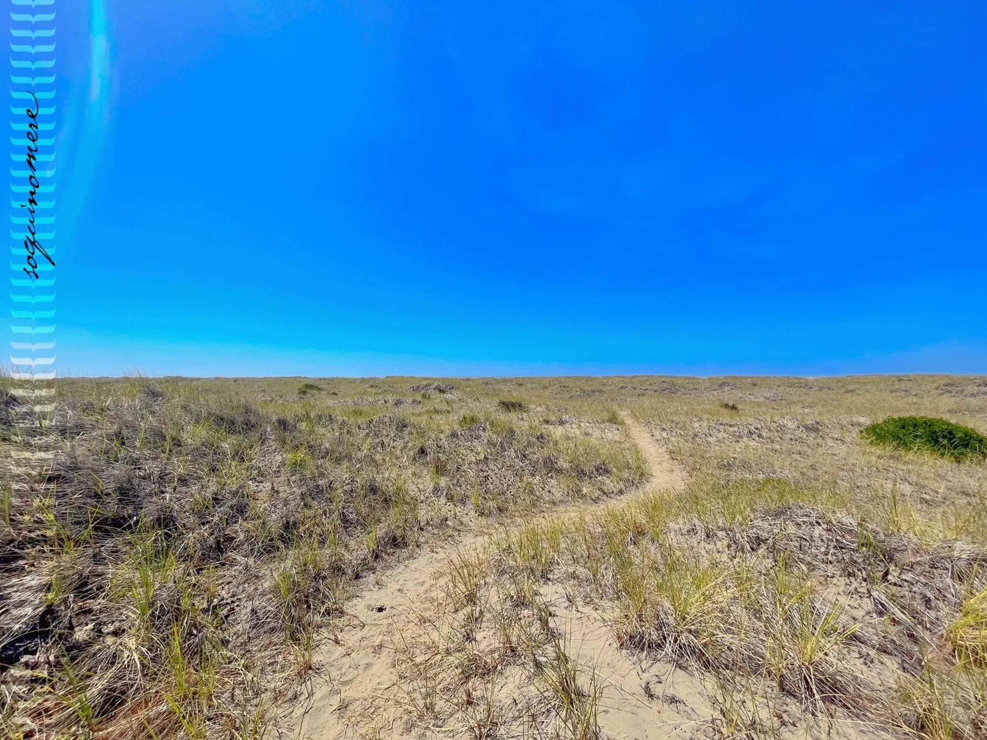Tide Pool Cabin, a Soquinomere Private Hotel on the Dunes, Downtown Ocean Shores