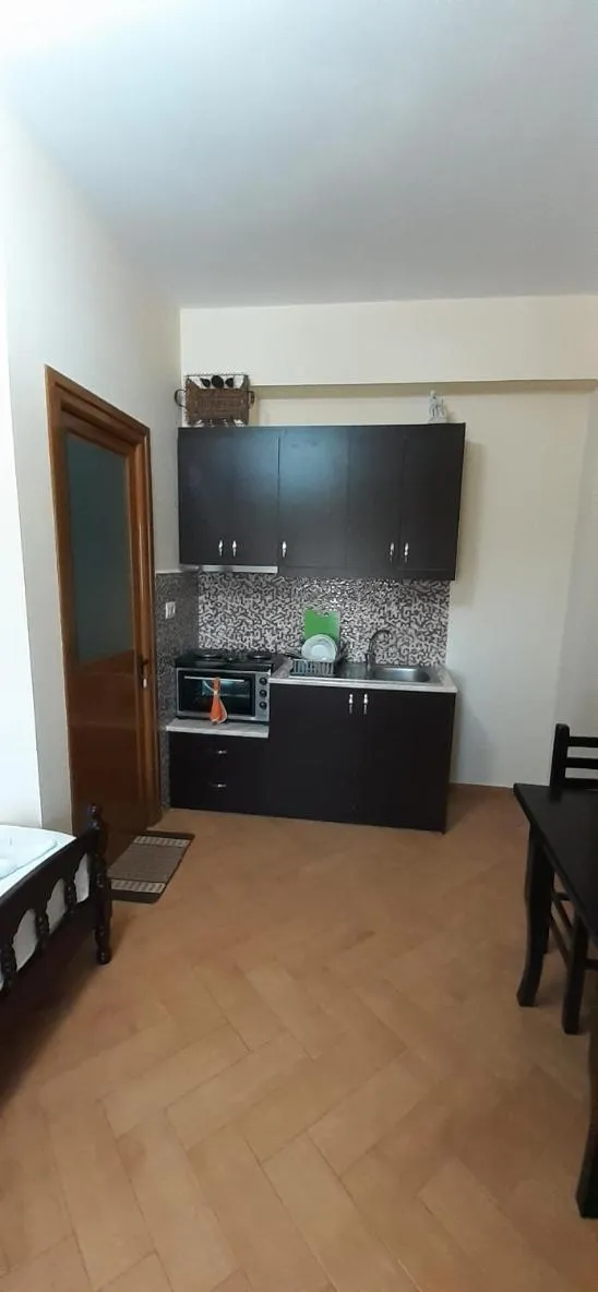 Kitchen or kitchenette in Vila Zeqo Muka 1