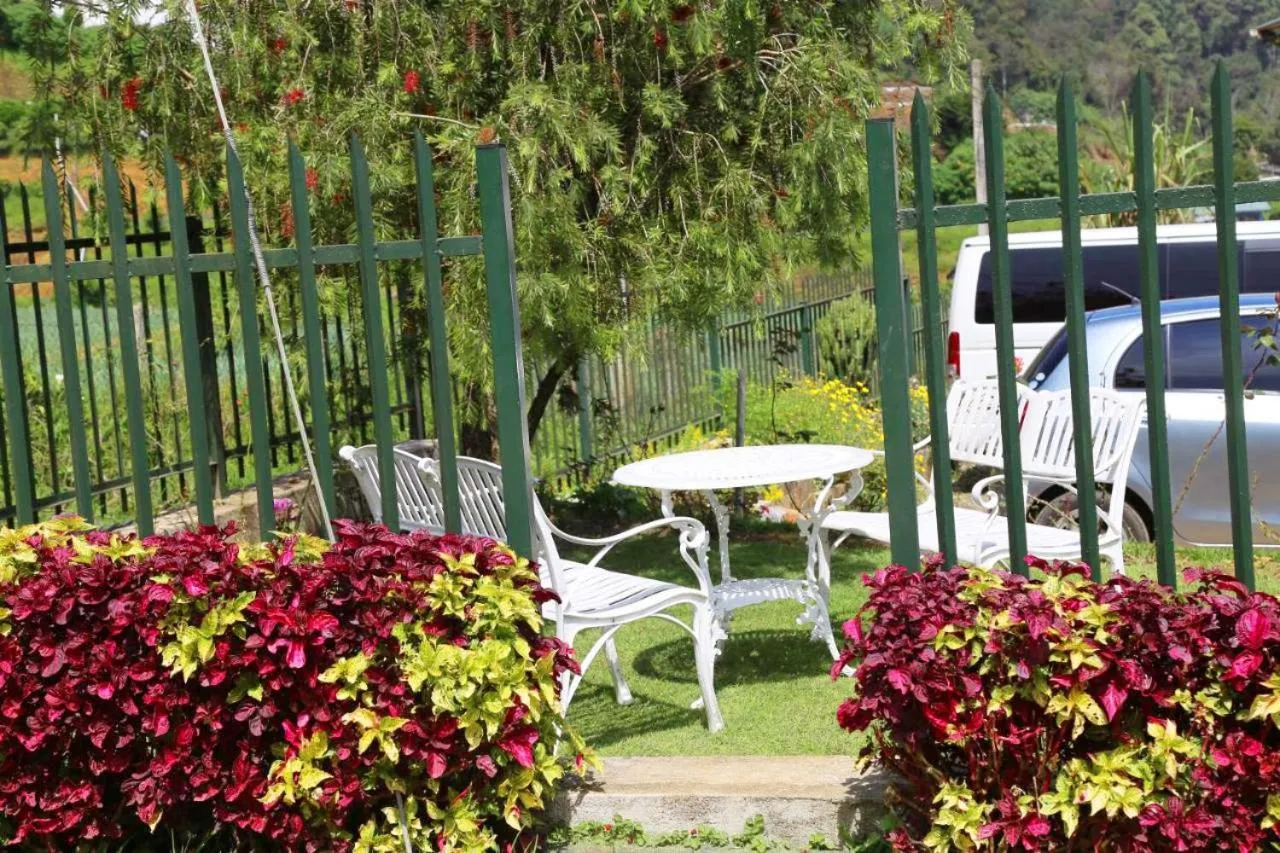 Garden in The Rock Hotel