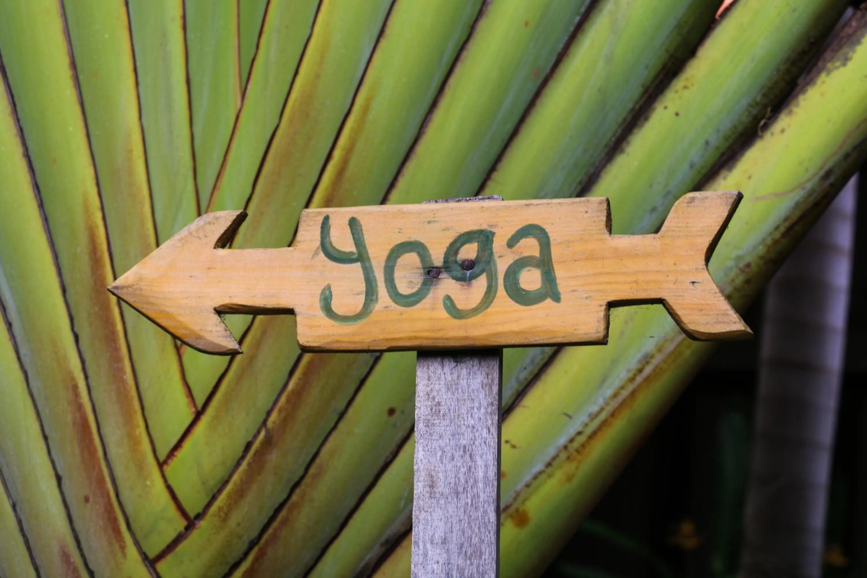 Garden view in Matra Bali Guesthouse