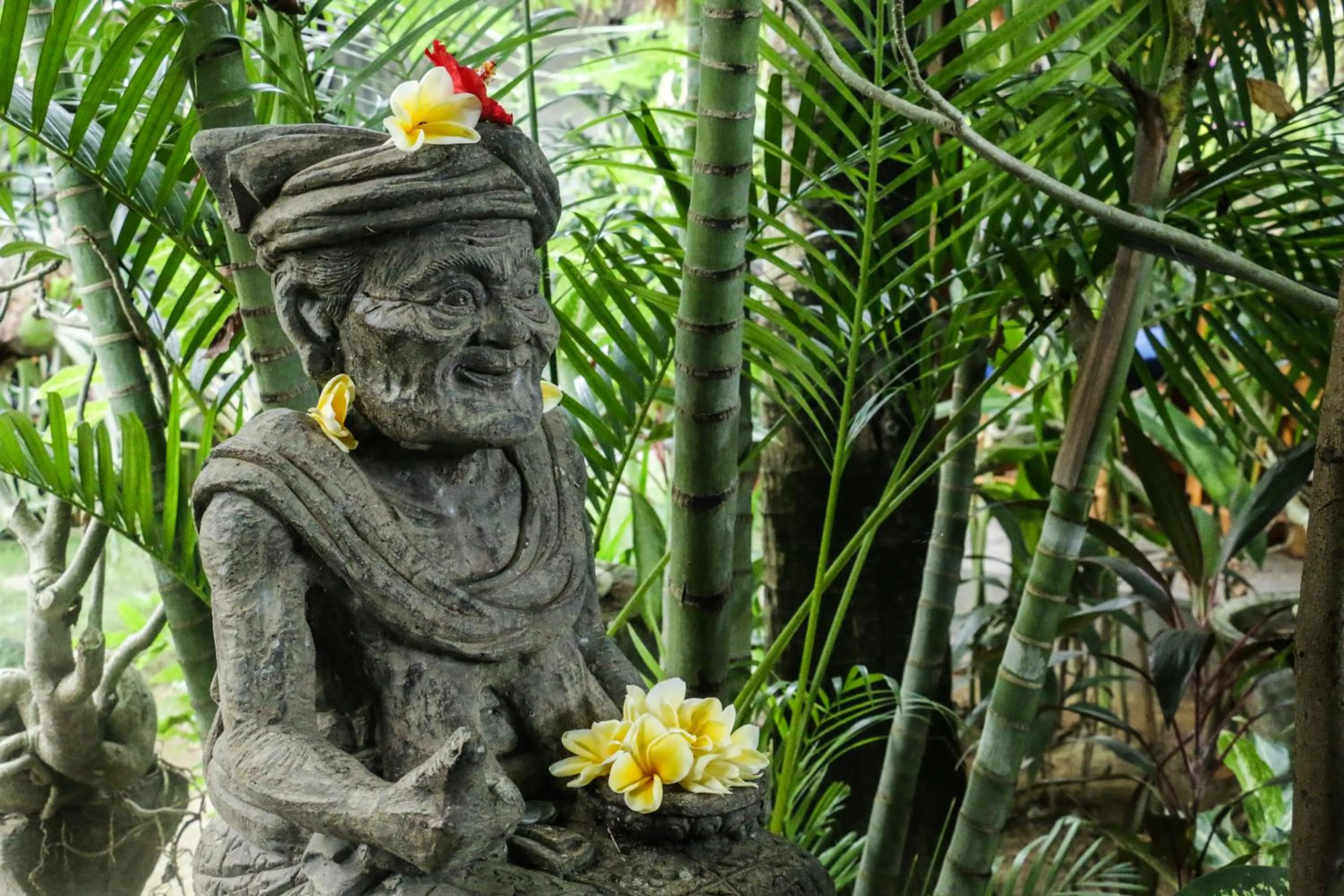 Garden in Matra Bali Guesthouse