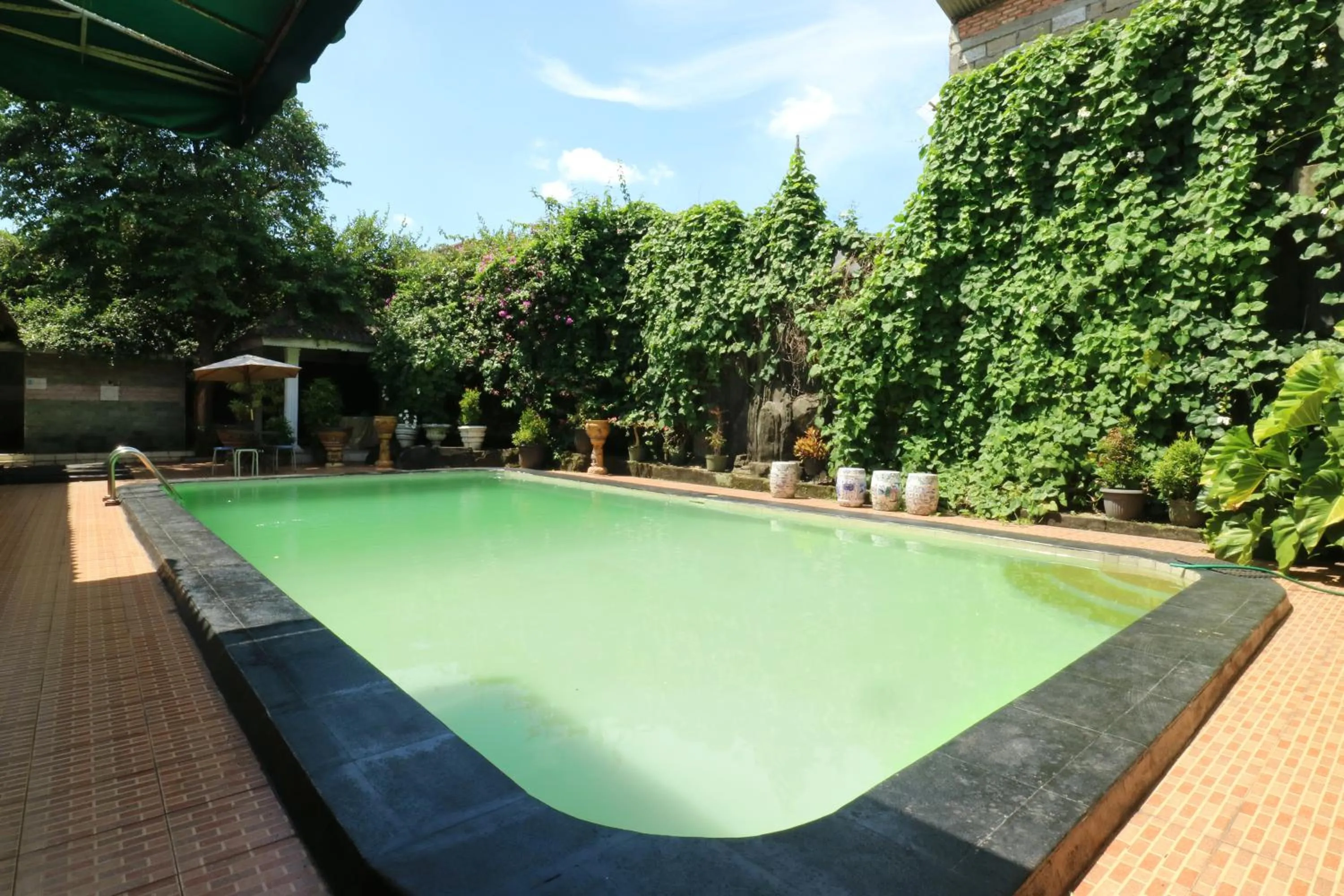 Swimming pool in Villa Sri Manganti