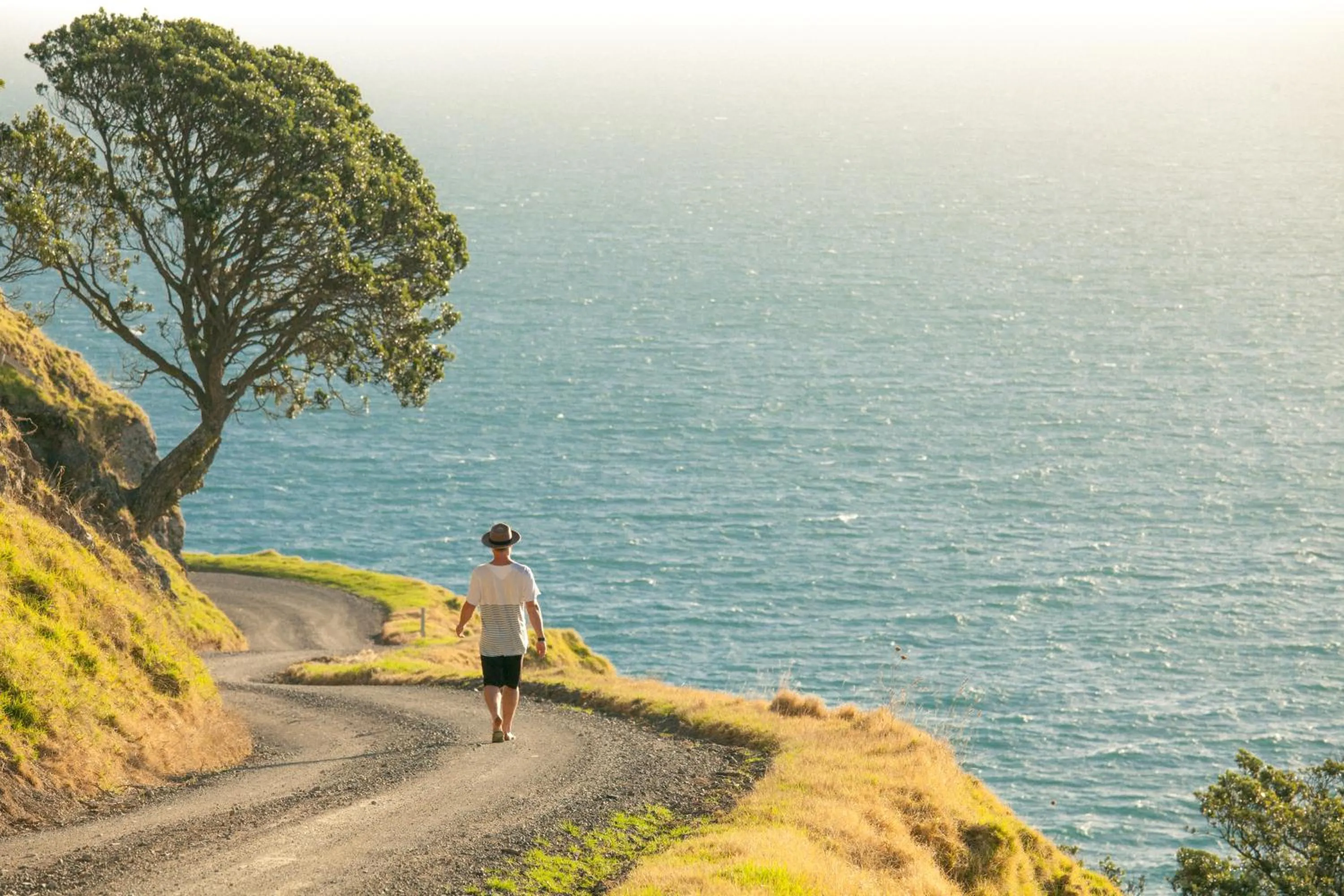 Beach in Coromandel Shelly Beach TOP 10 Holiday Park