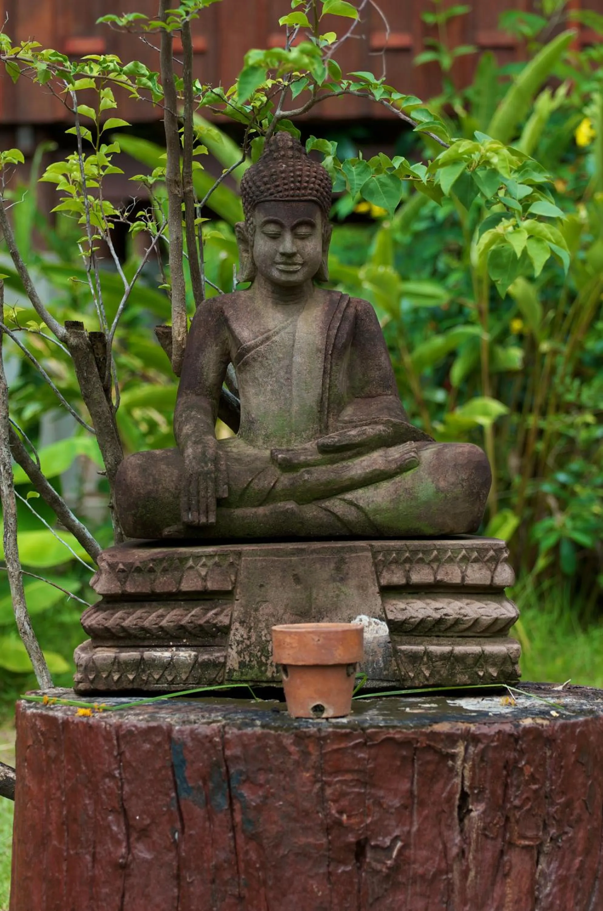 Garden in Soriyabori Resort
