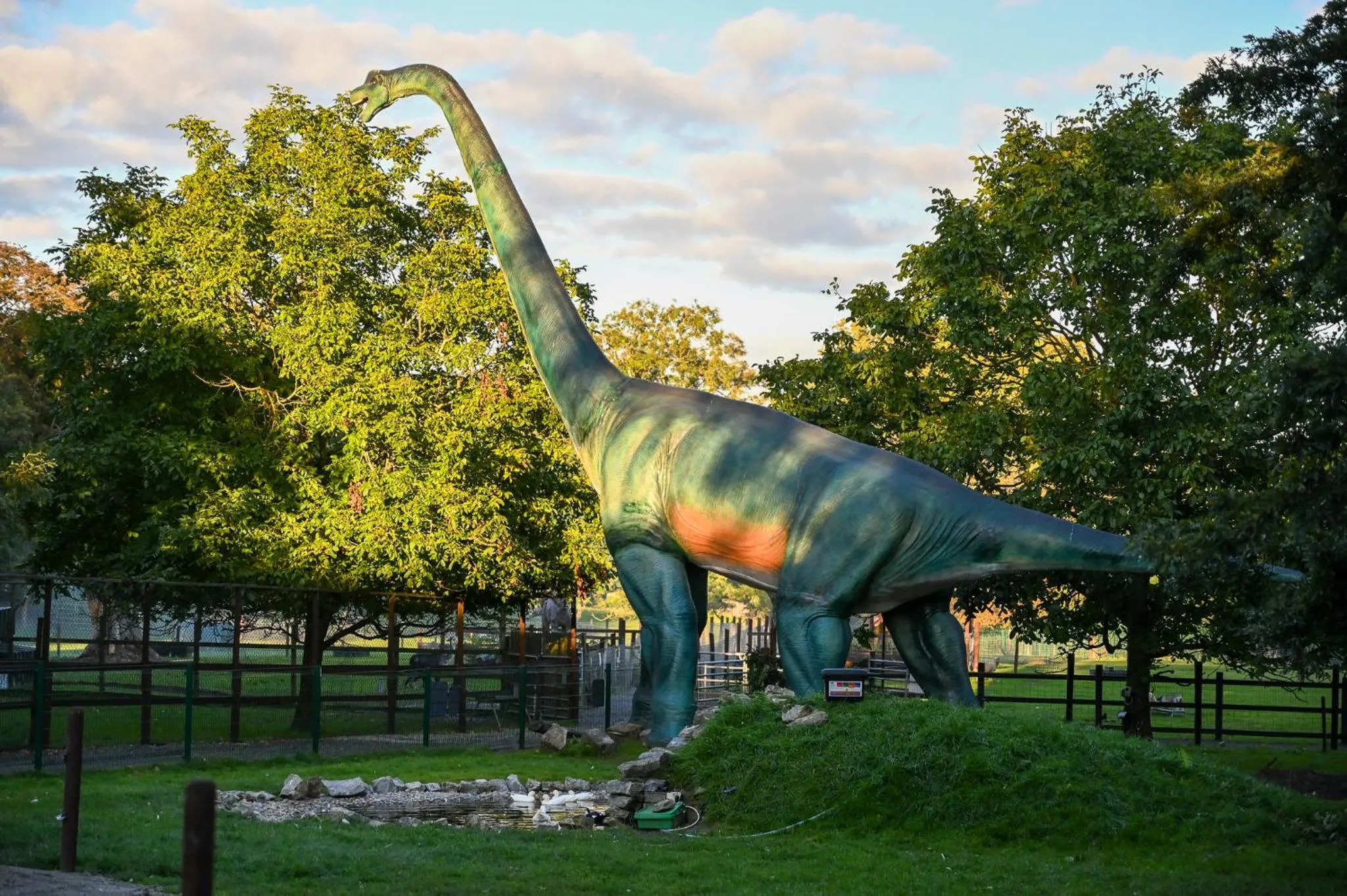Family in Newpark Hotel