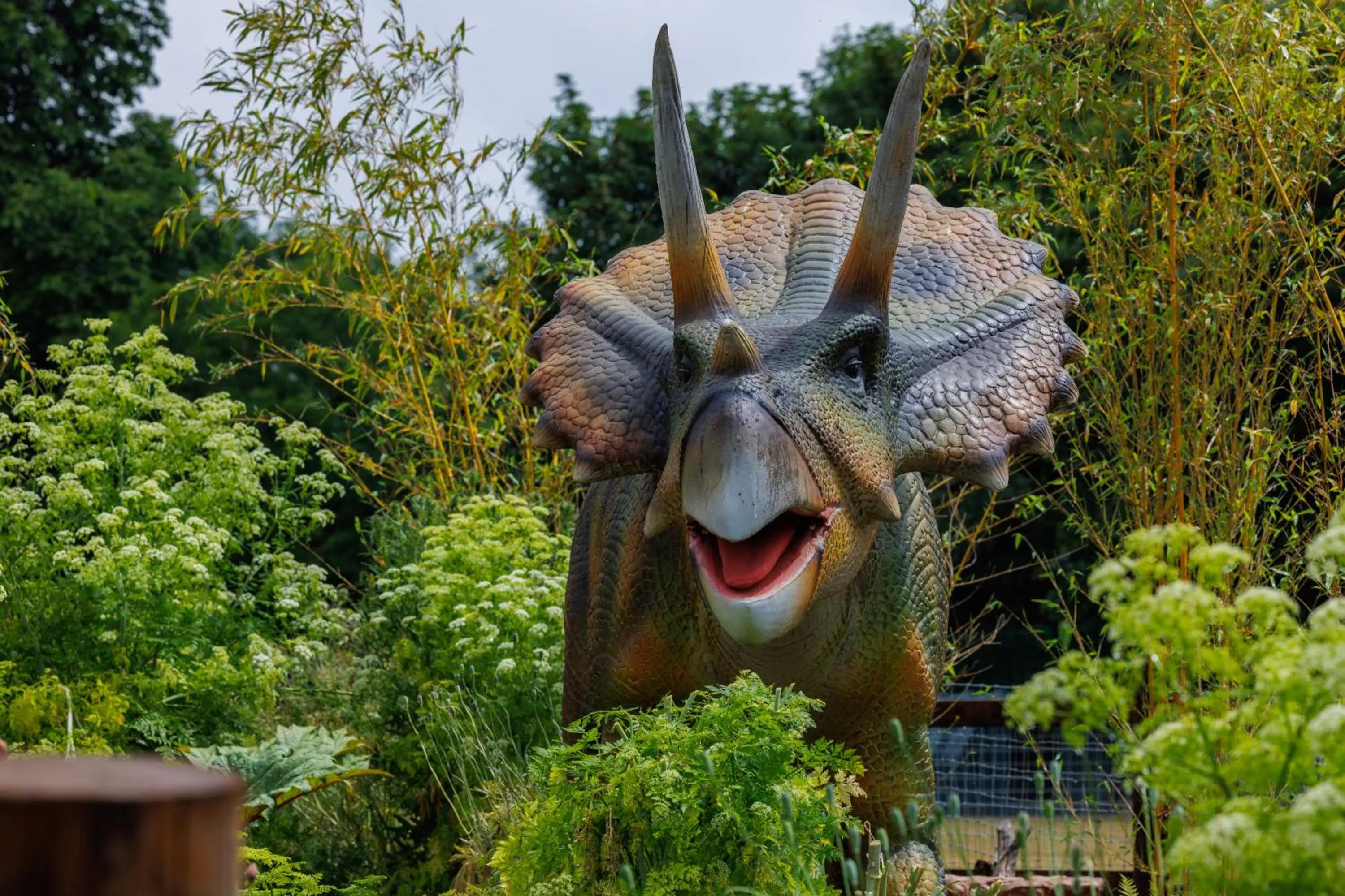 Family in Newpark Hotel