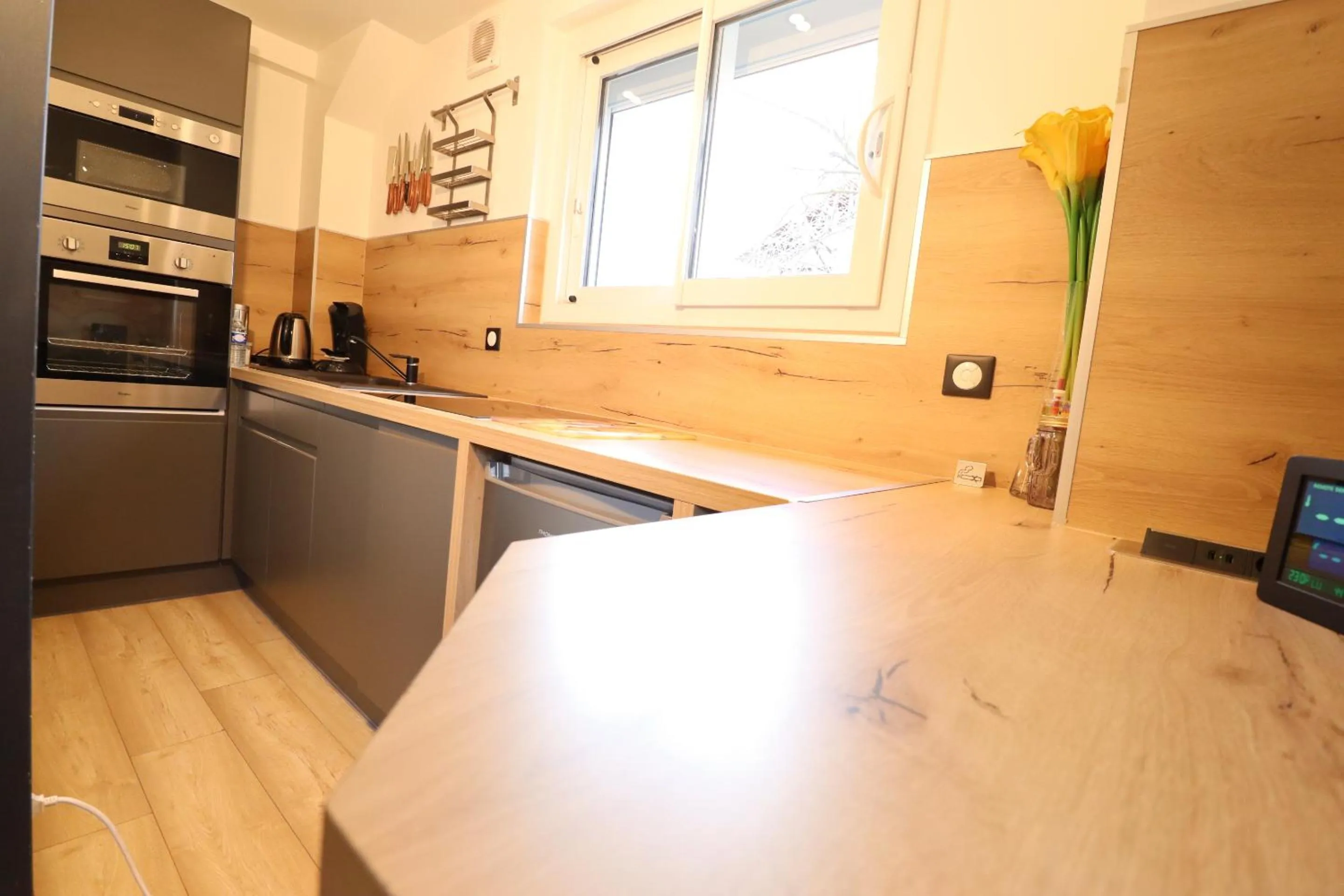 Kitchen or kitchenette in Le Lotus Blanc