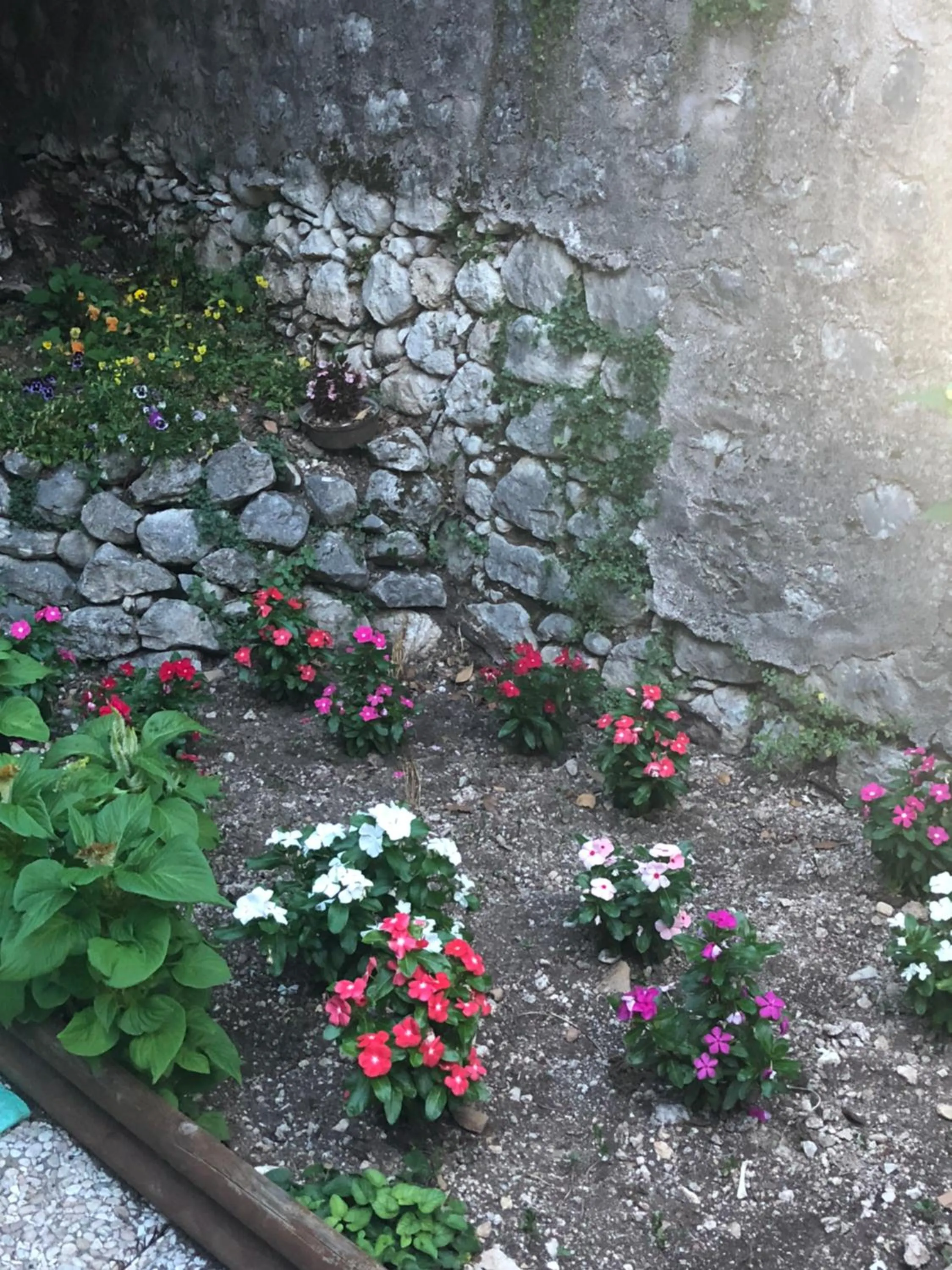 Garden in Bed and Breakfast IL CAVALIERE