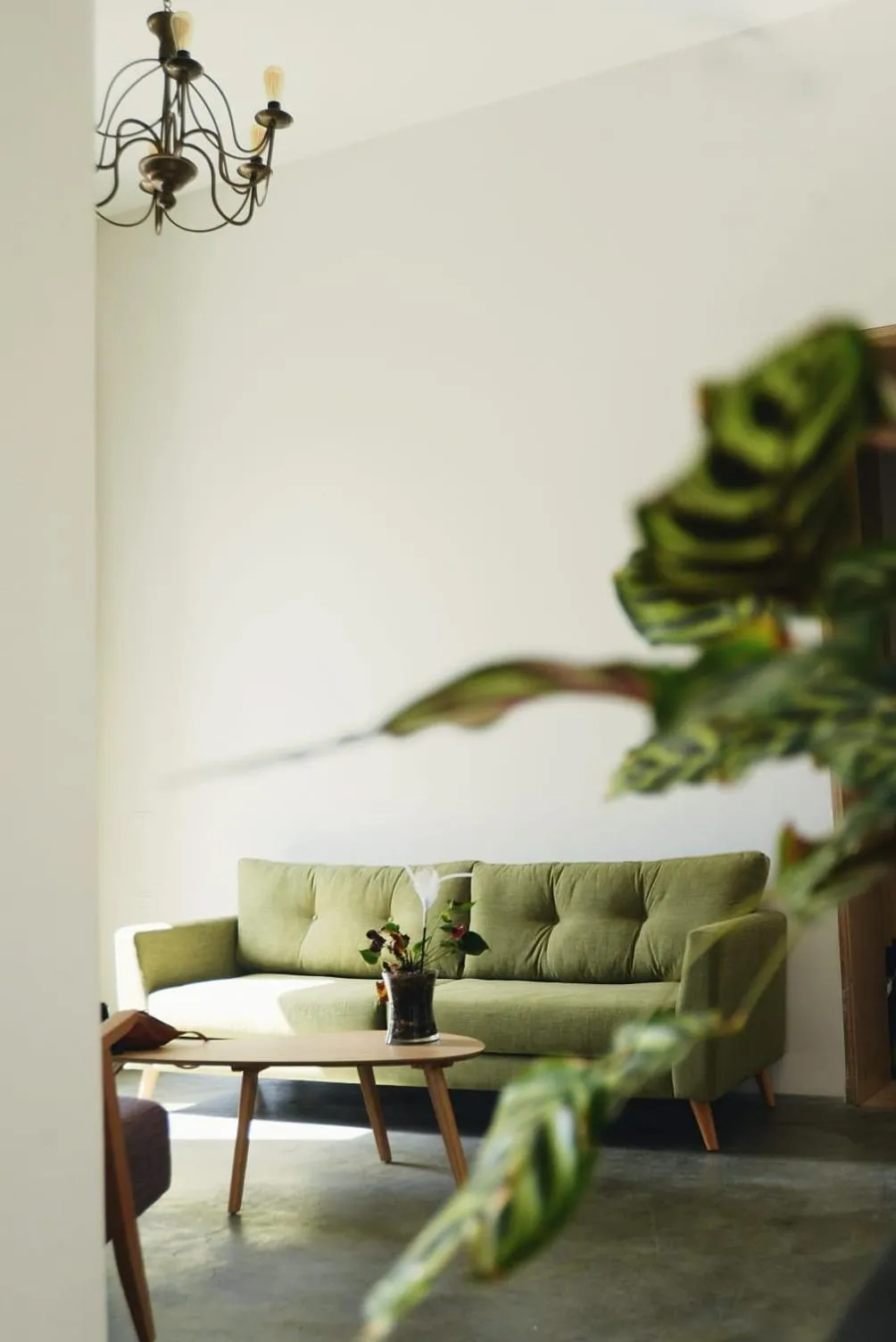 Seating area in El Sayed House