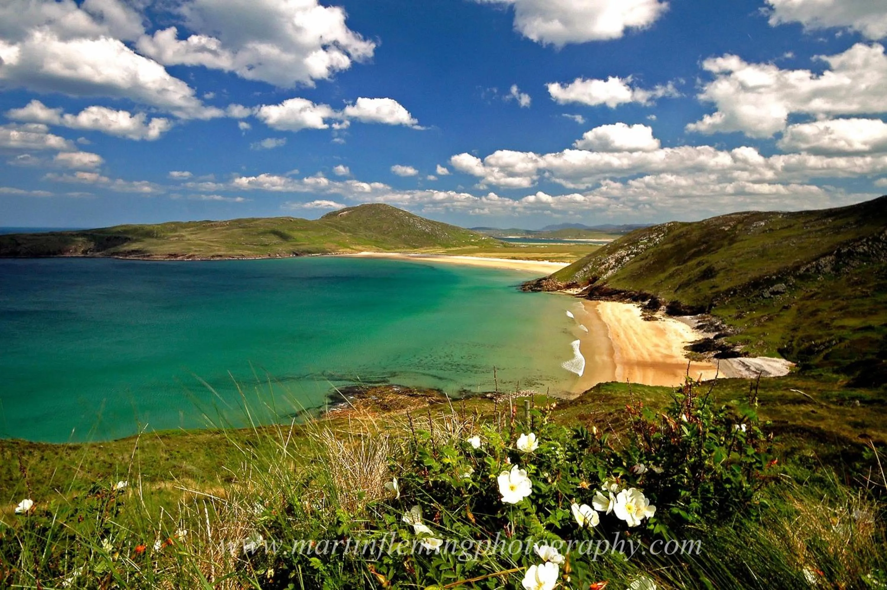 Beach in Downings Bay Hotel