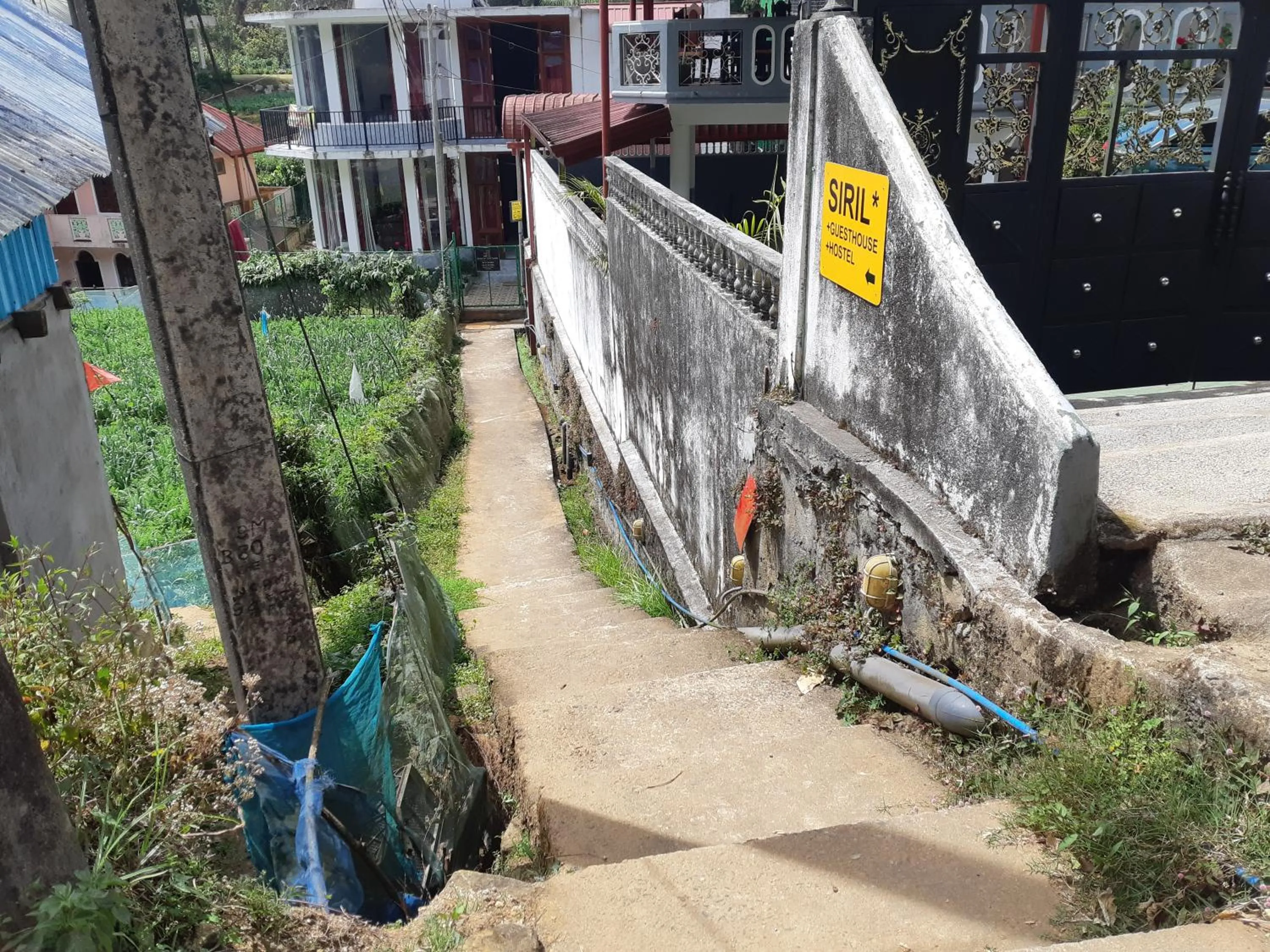 Facade/entrance in Siril Guesthouse Hostel