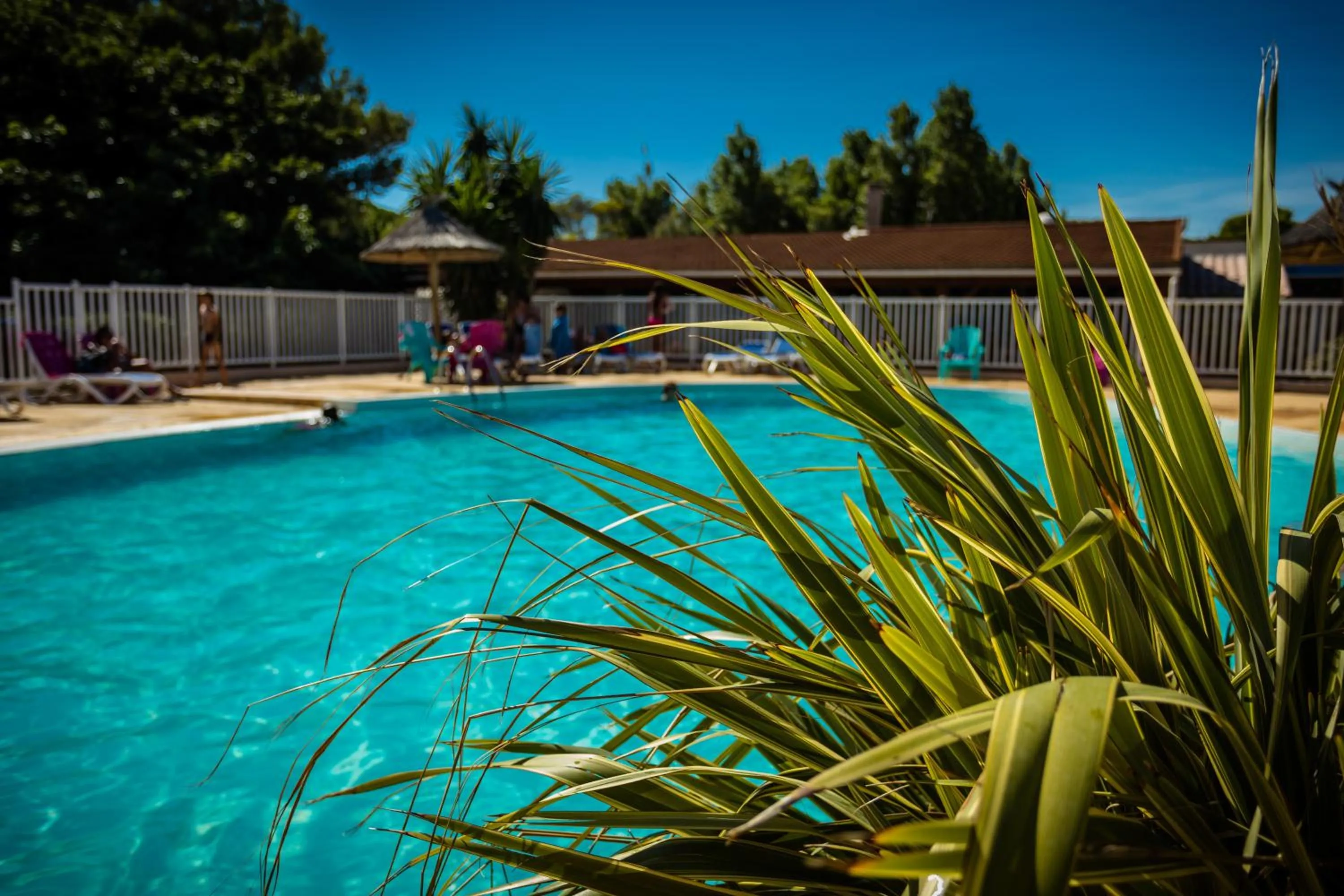 Camping Rives des Corbières