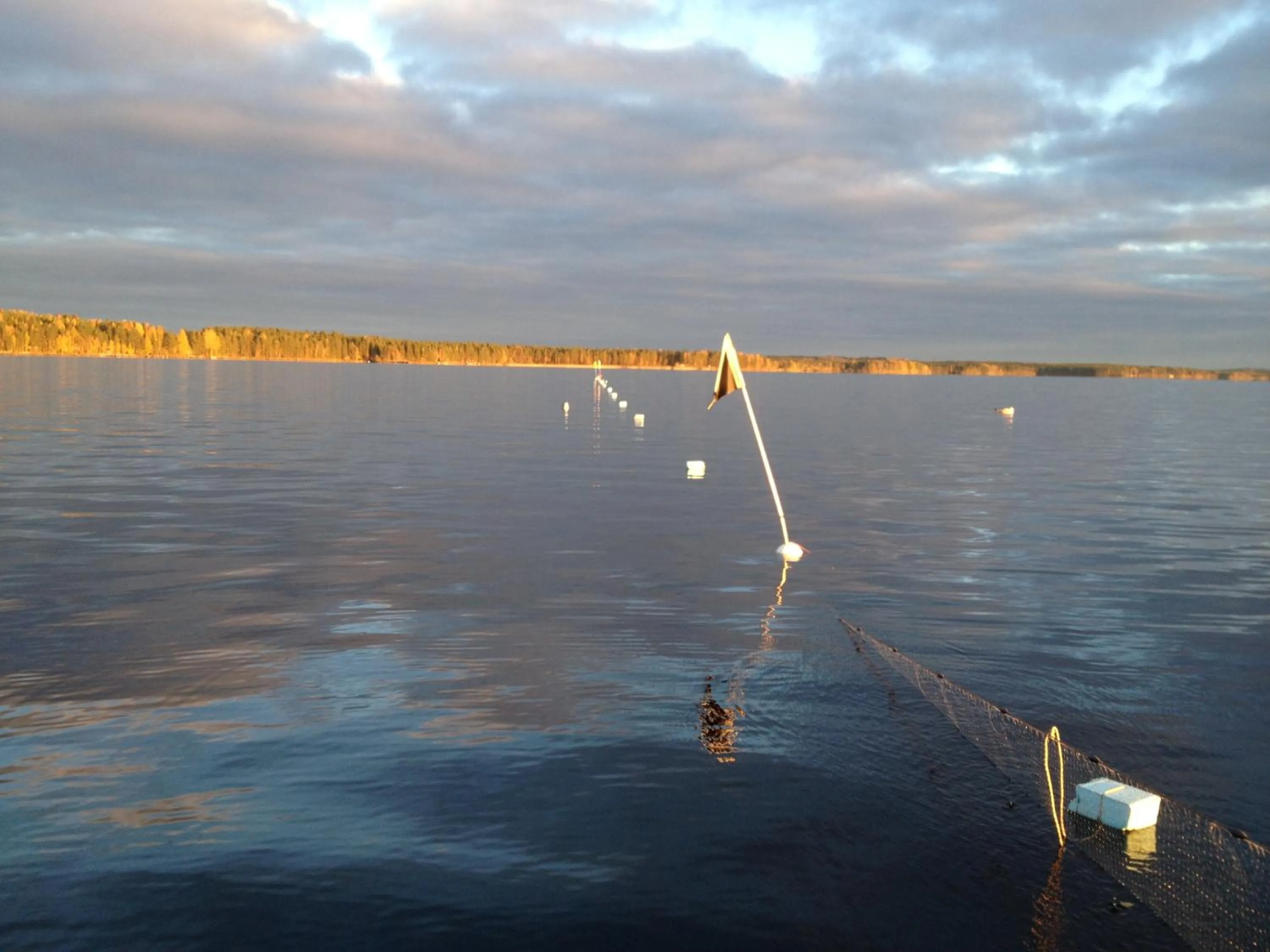 Fishing in Hyvölän Talo