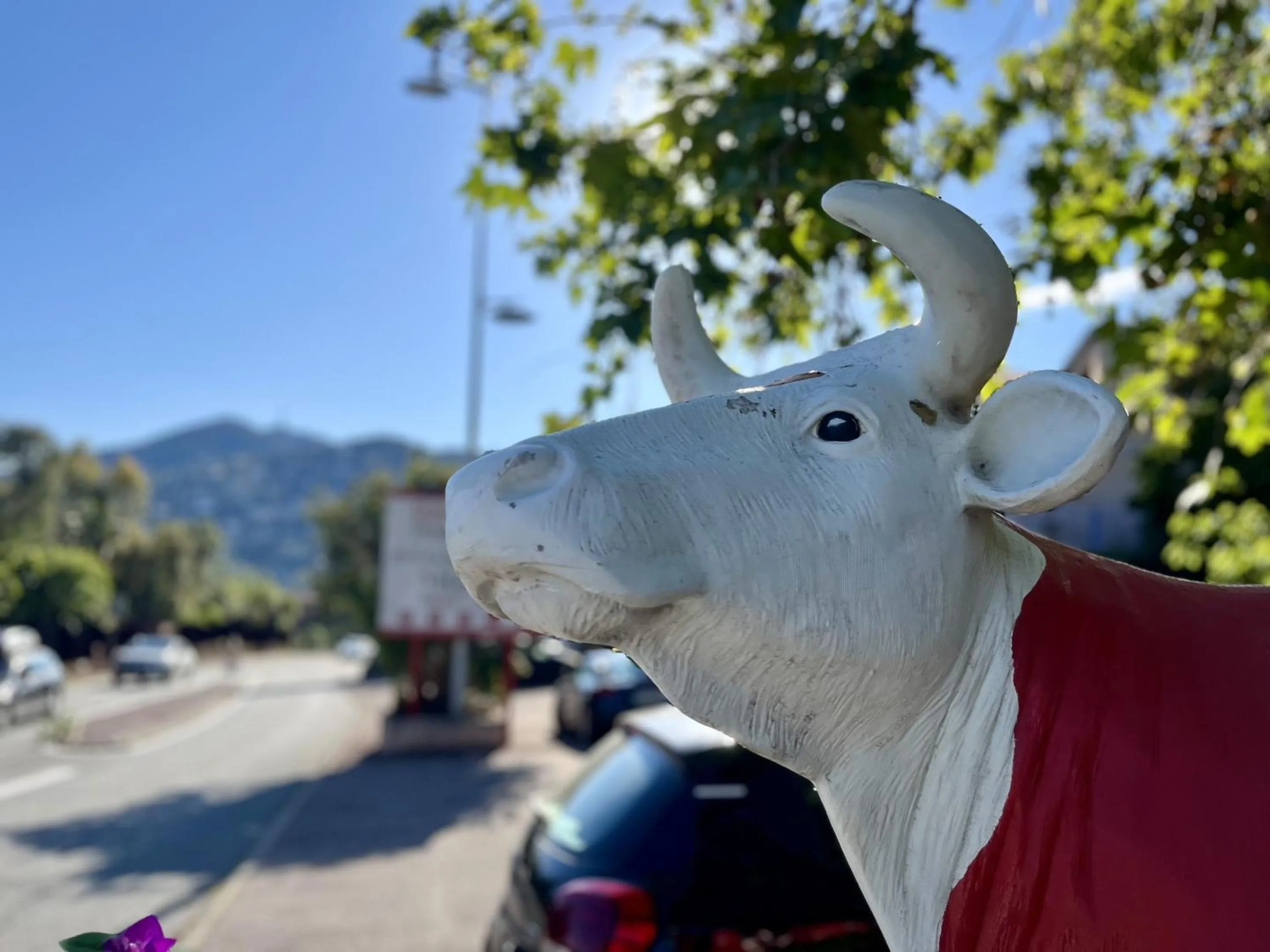 Property building in Hotel Le Patio