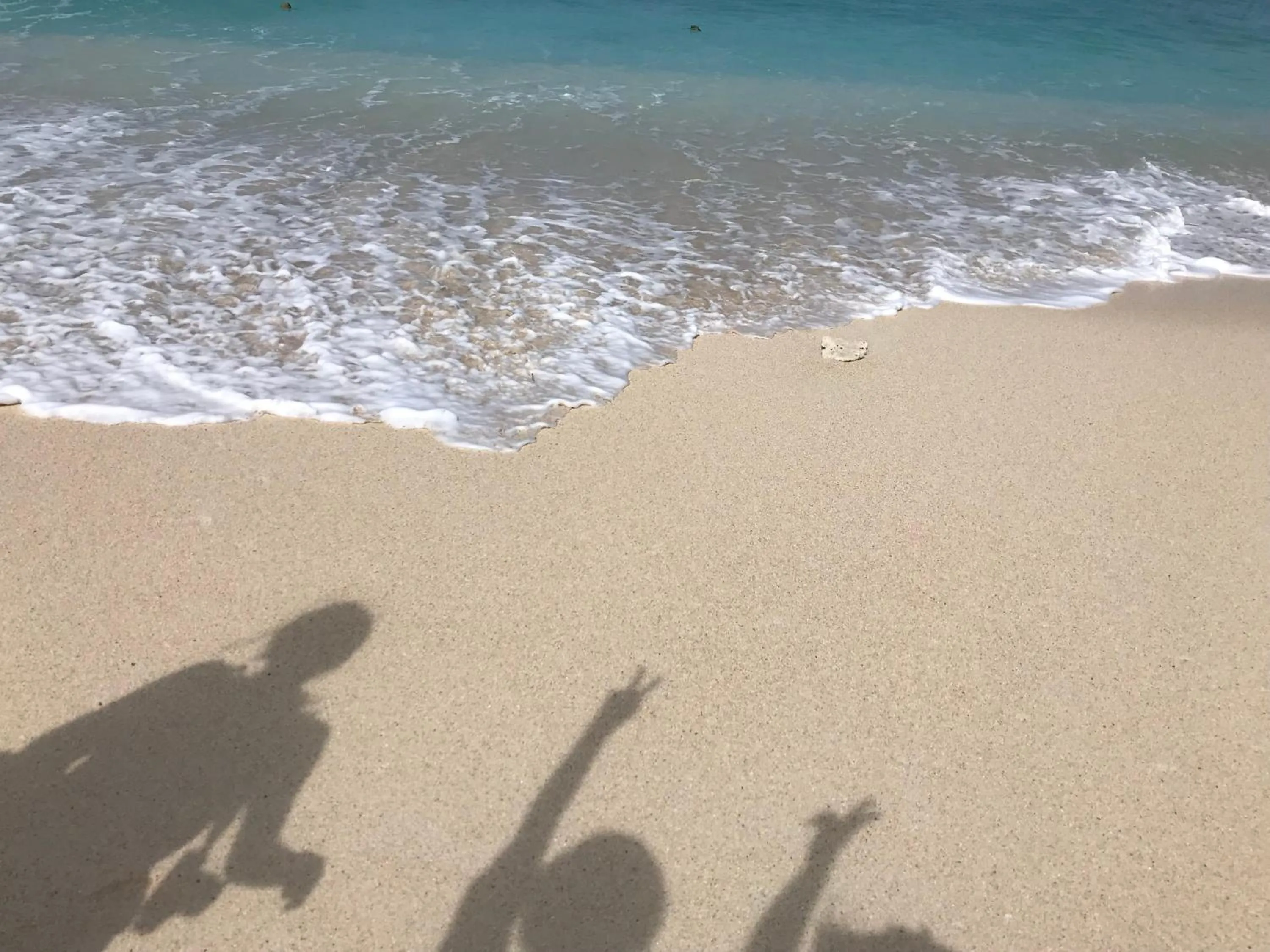 Snorkeling in Hostel Mosura no Tamago