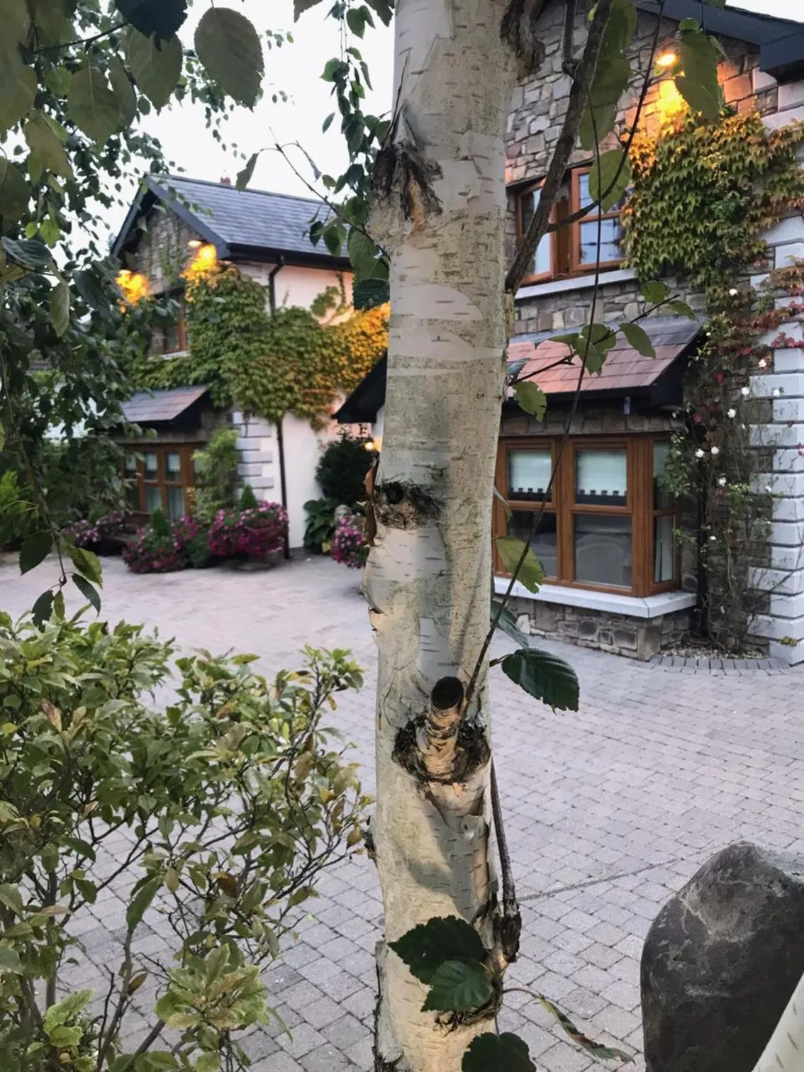 Property building in Avlon House Bed and Breakfast