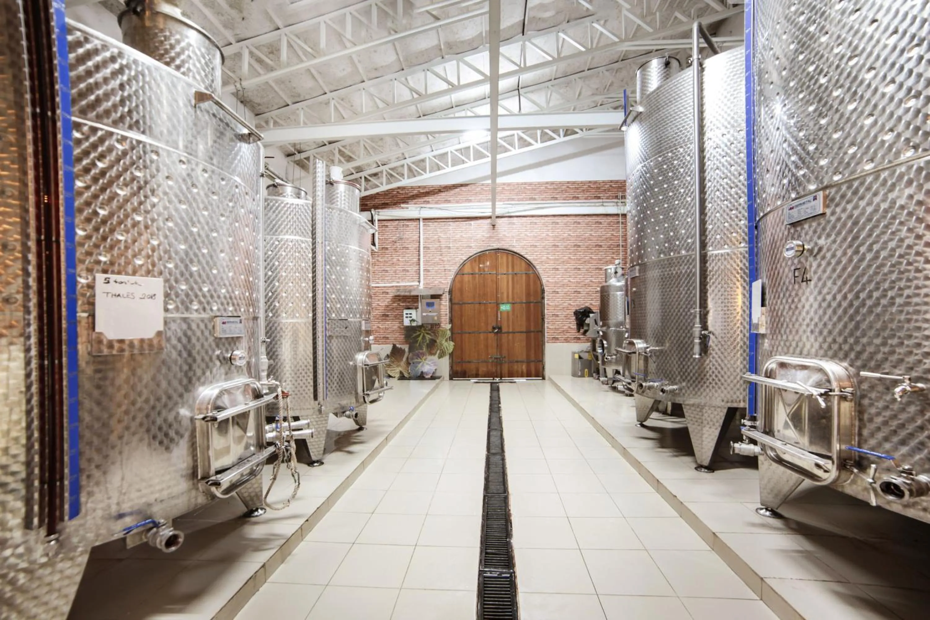 Activities in VINIFERA VINEYARDS HOTEL