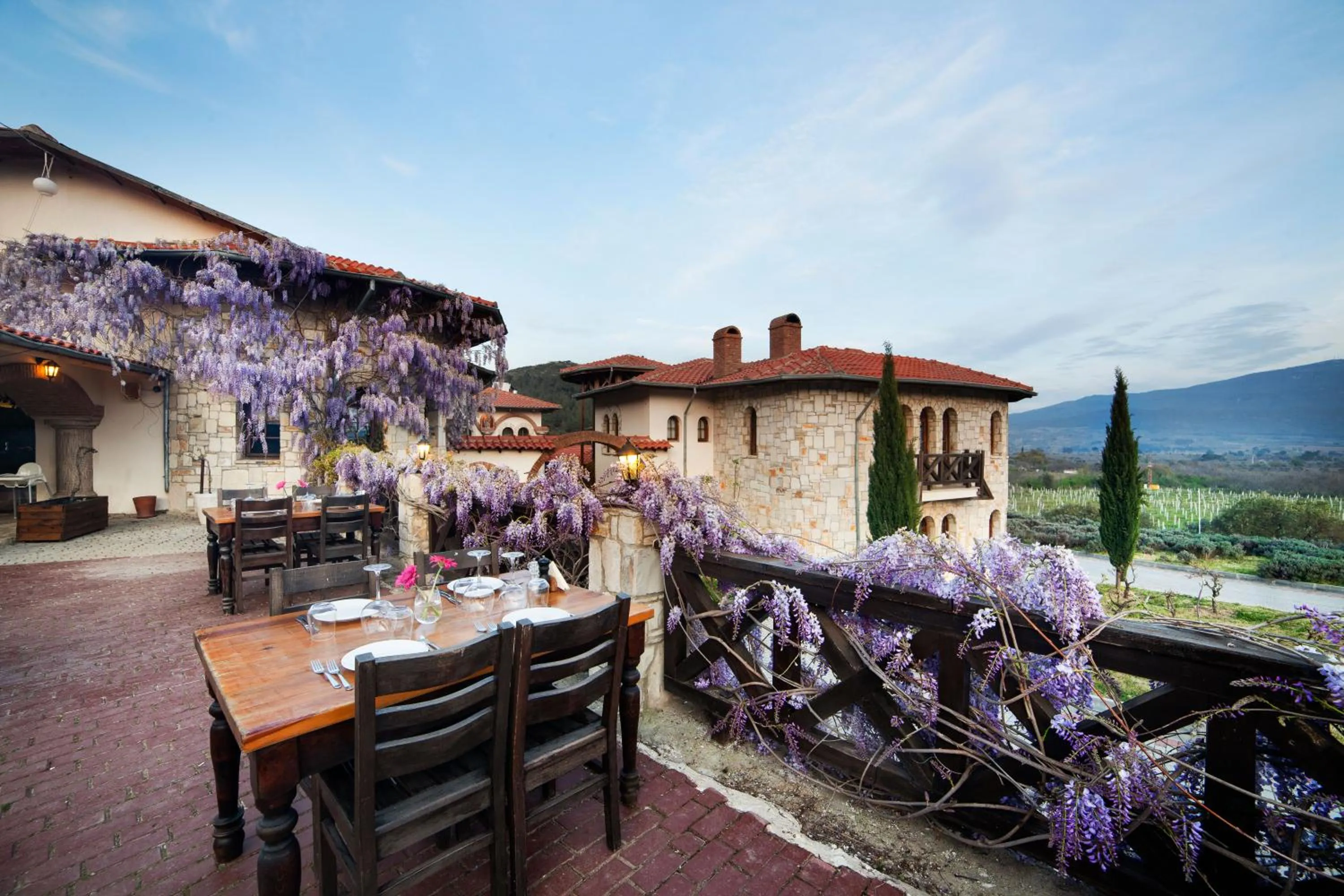 Patio in VINIFERA VINEYARDS HOTEL