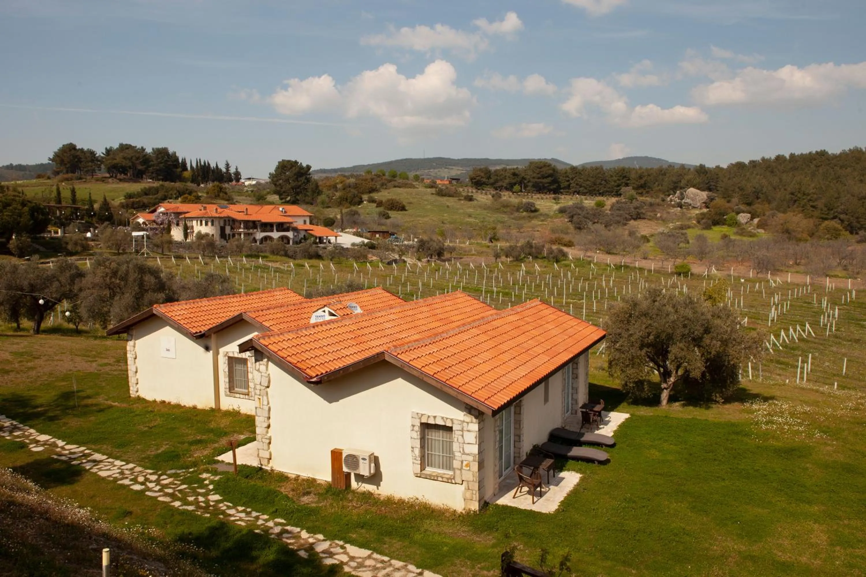 Bird's eye view in VINIFERA VINEYARDS HOTEL