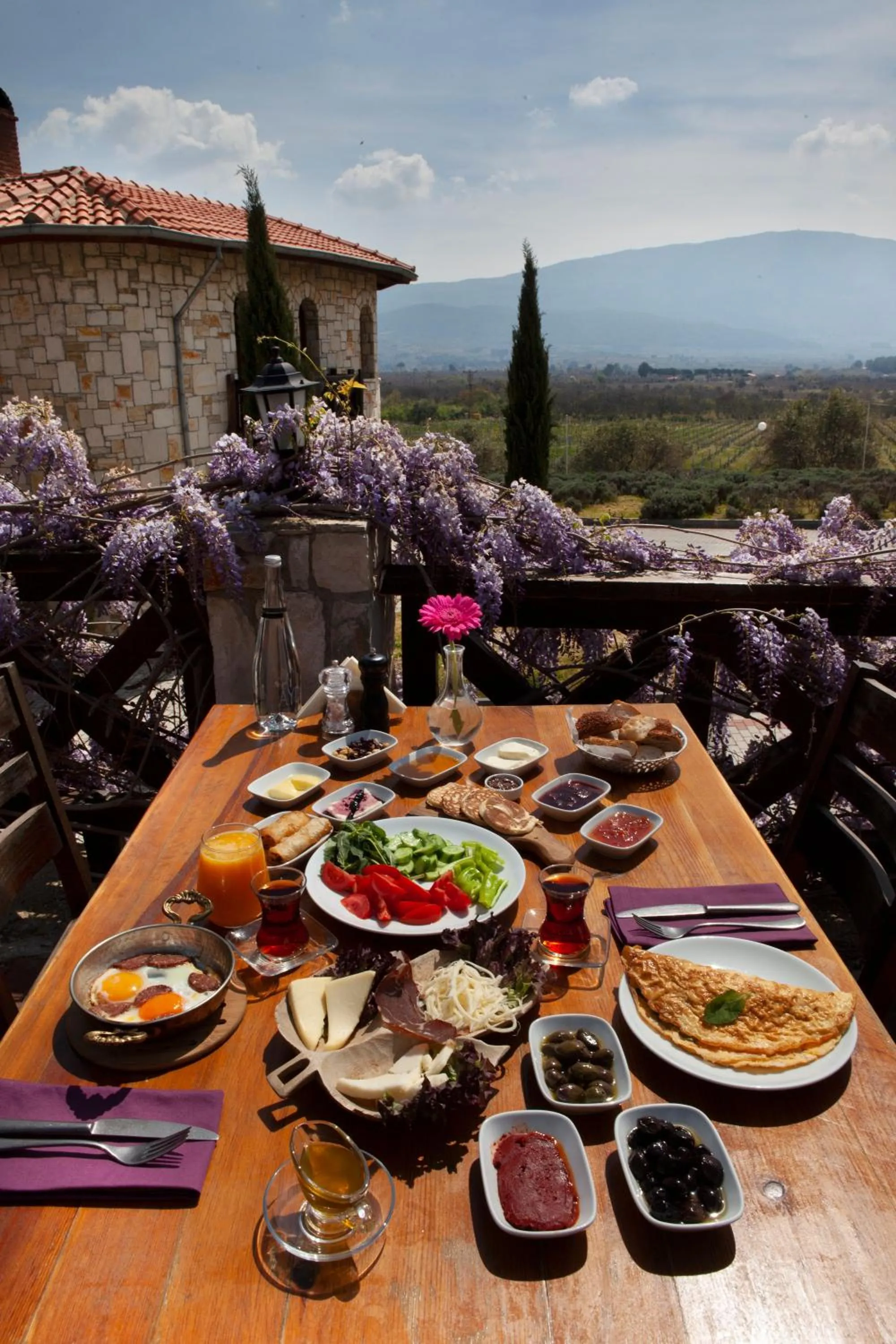 Food in VINIFERA VINEYARDS HOTEL